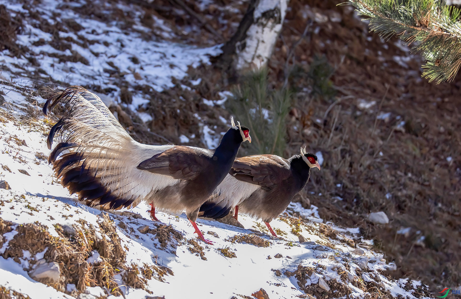 _07A3827 ����-Sh----1 .jpg