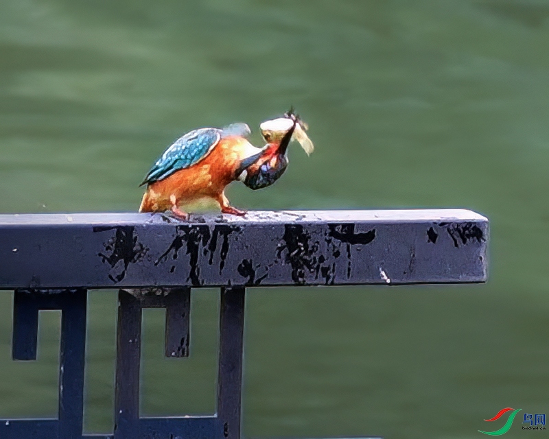 C0119[00_00_31].jpg