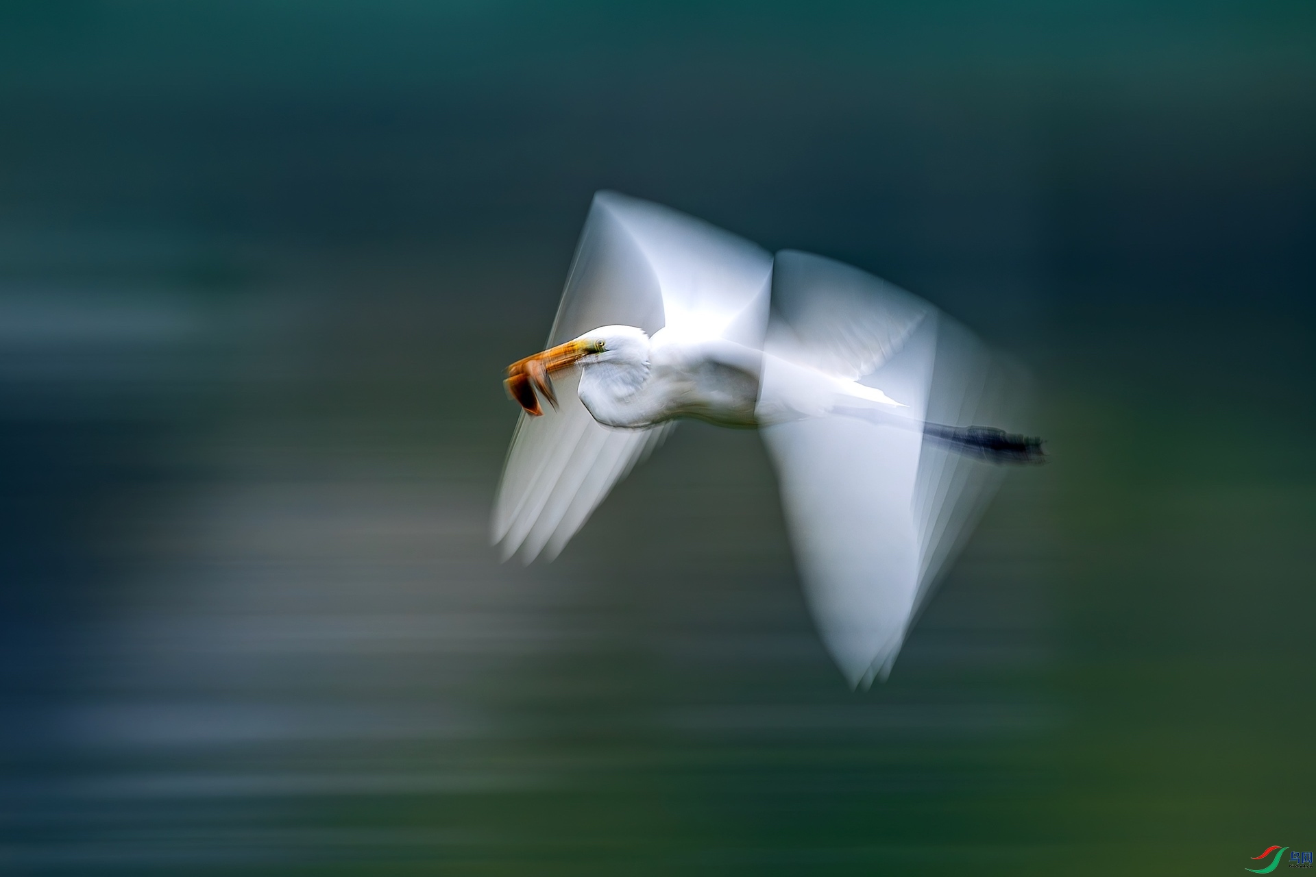 1_DSC5959-����ǿ-NR-1 2.jpeg