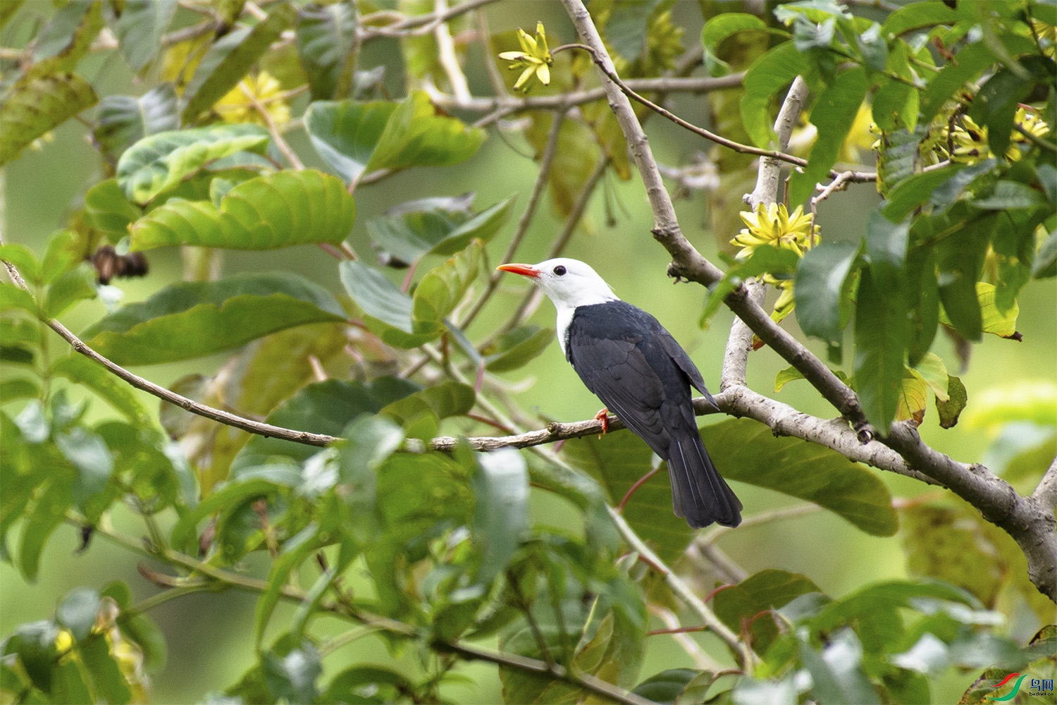 �҂���Ҋ����