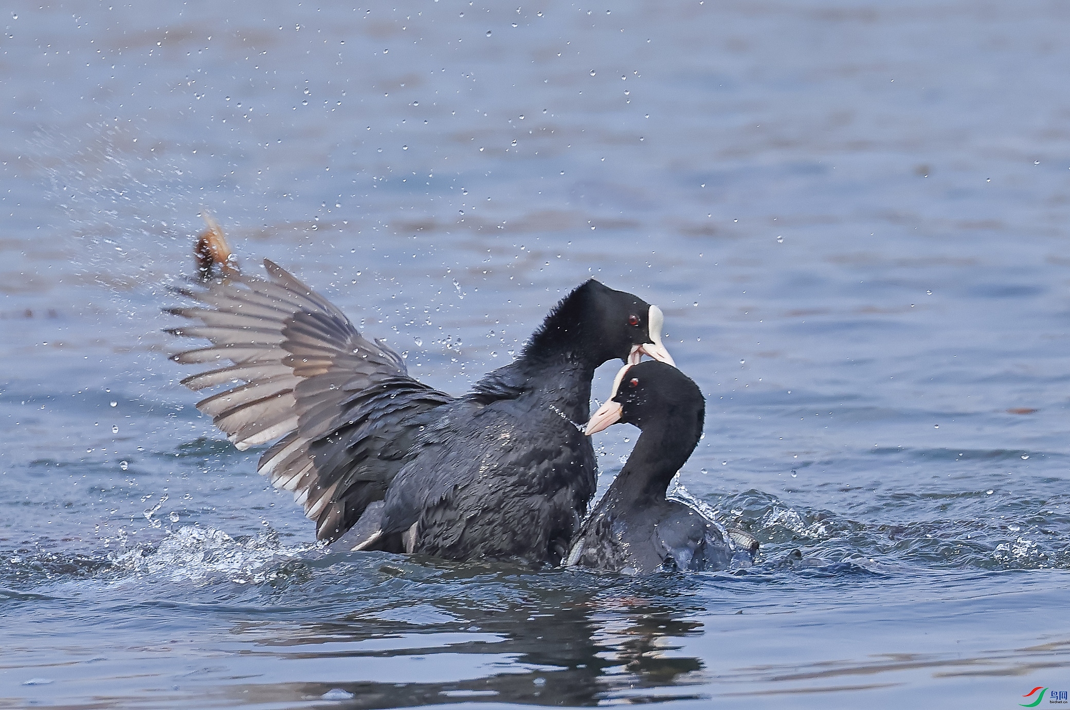 L10A0627 ����.jpg