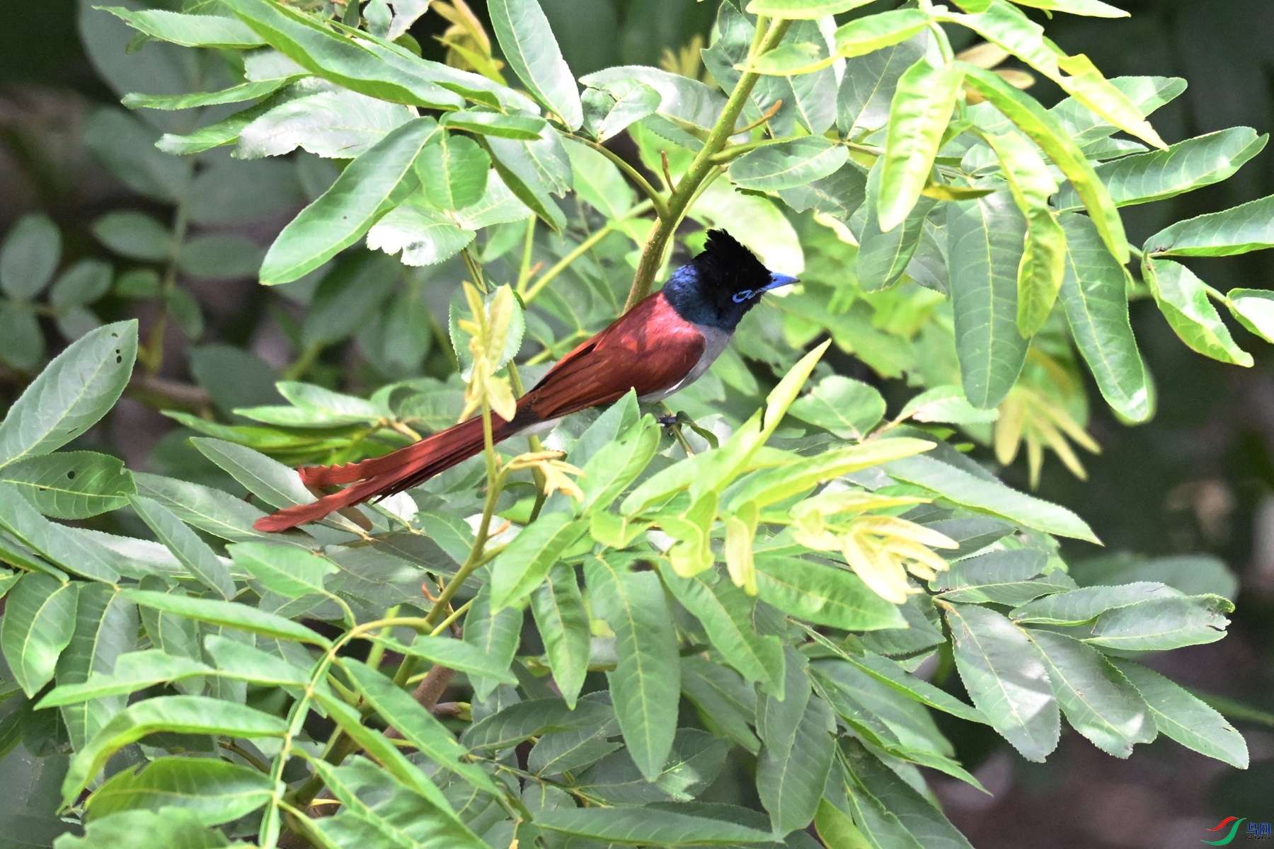 DSC_6164.JPG