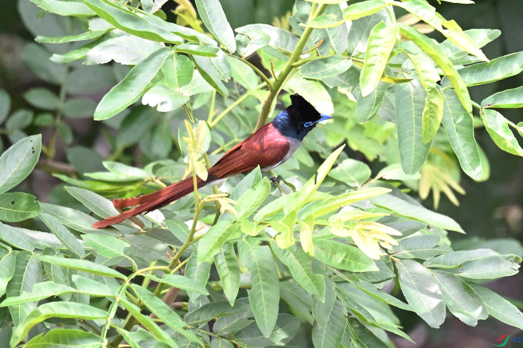 DSC_6165.JPG