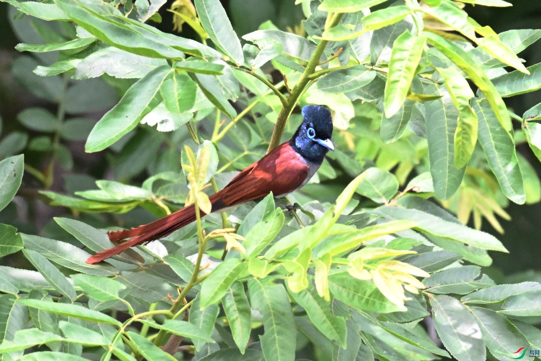 DSC_6167.JPG