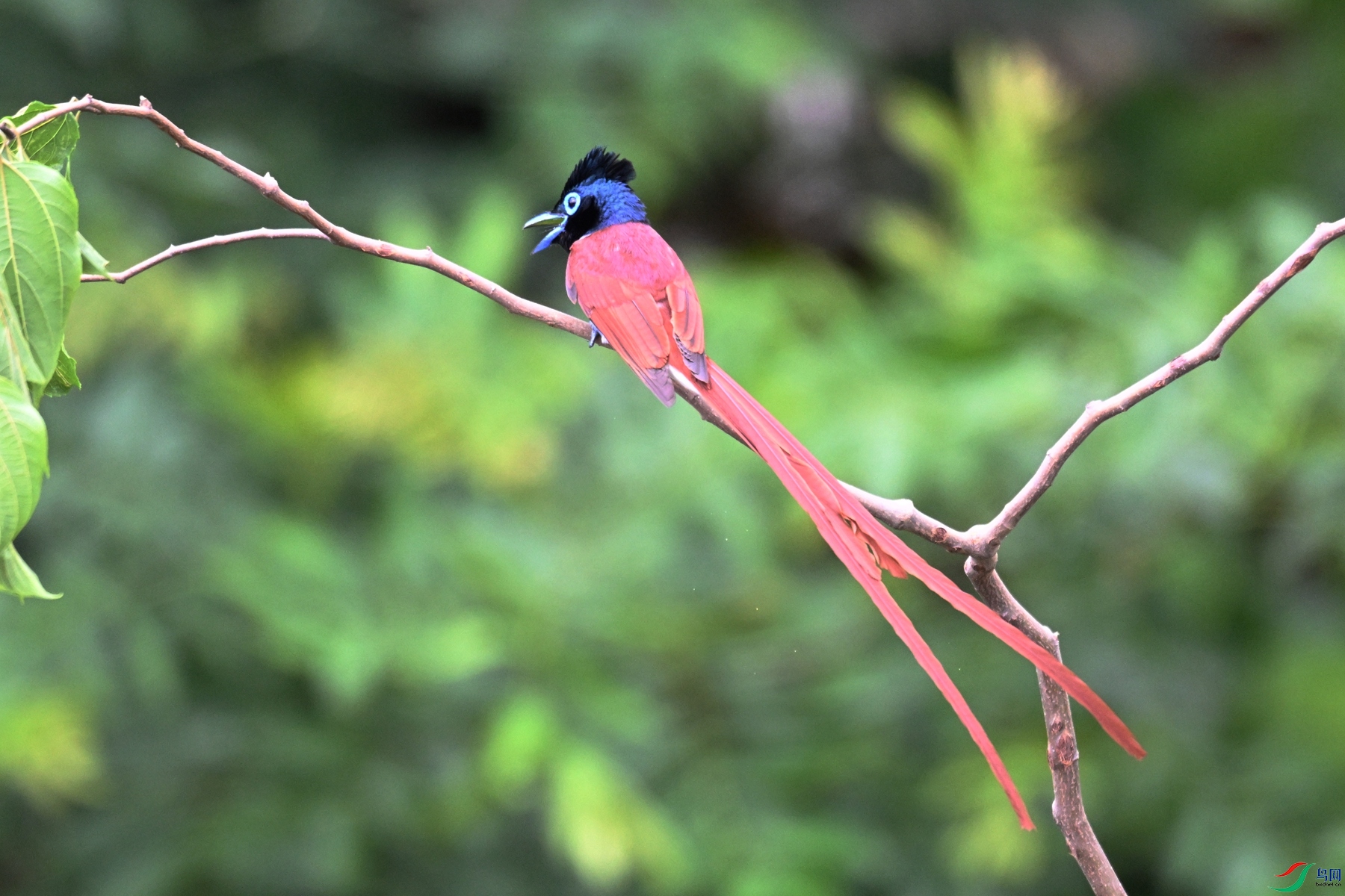 DSC_6148.JPG