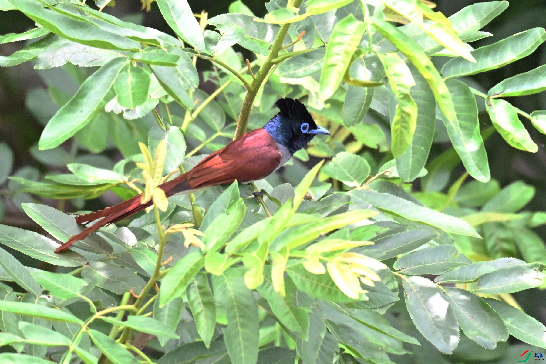 DSC_6170.JPG
