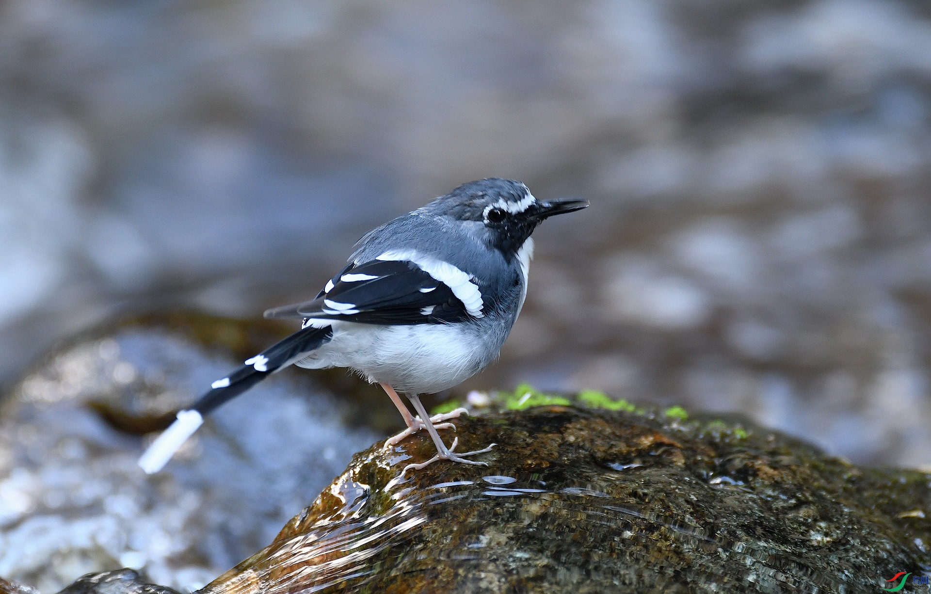 DSC_9626.jpg