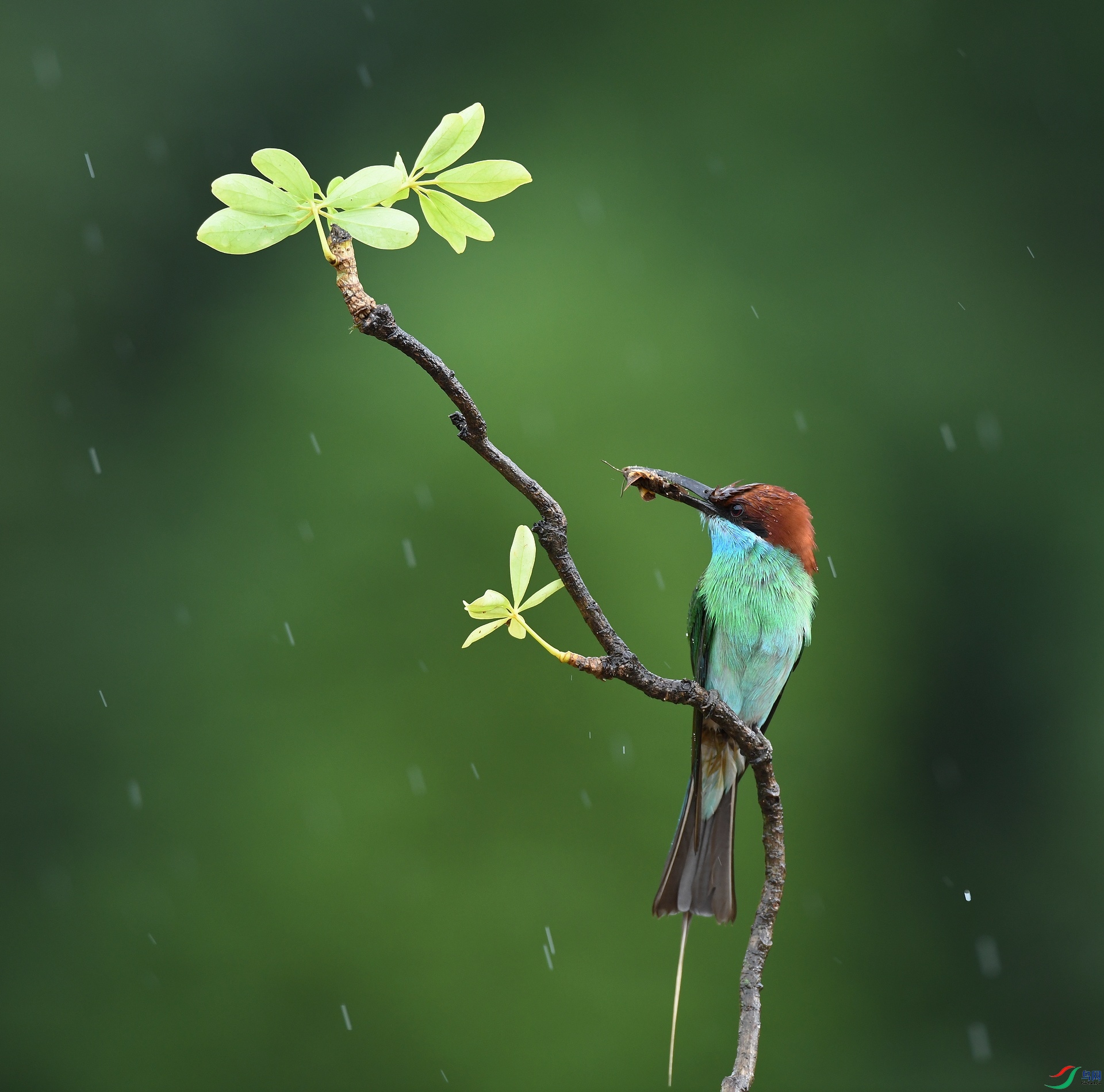DSC_9245.jpg