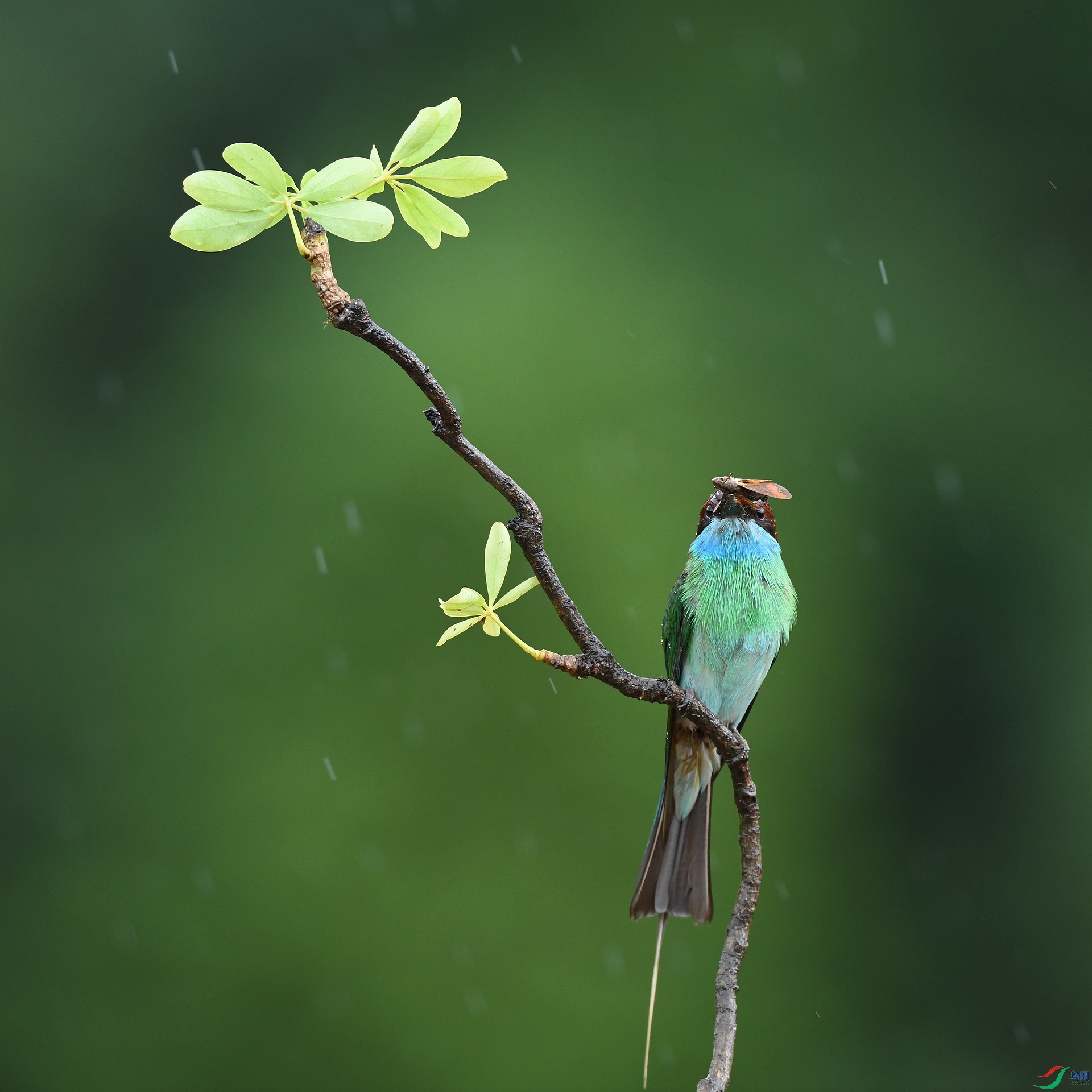 DSC_9246.jpg