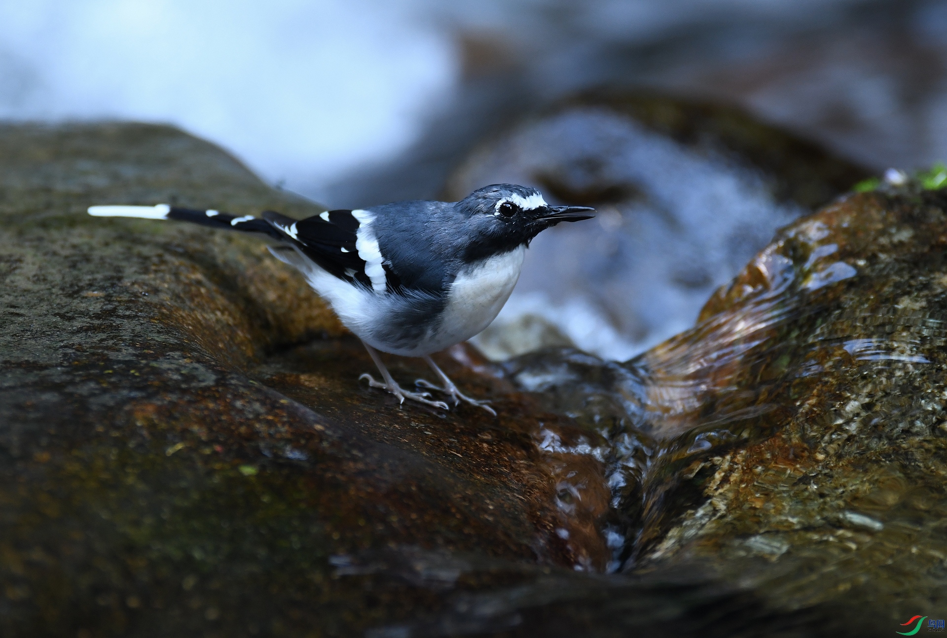 DSC_9635.jpg