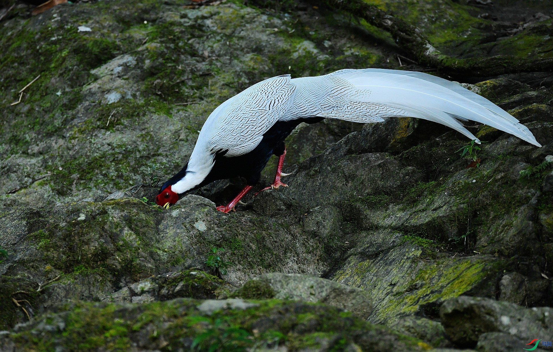 DSC_9742.jpg