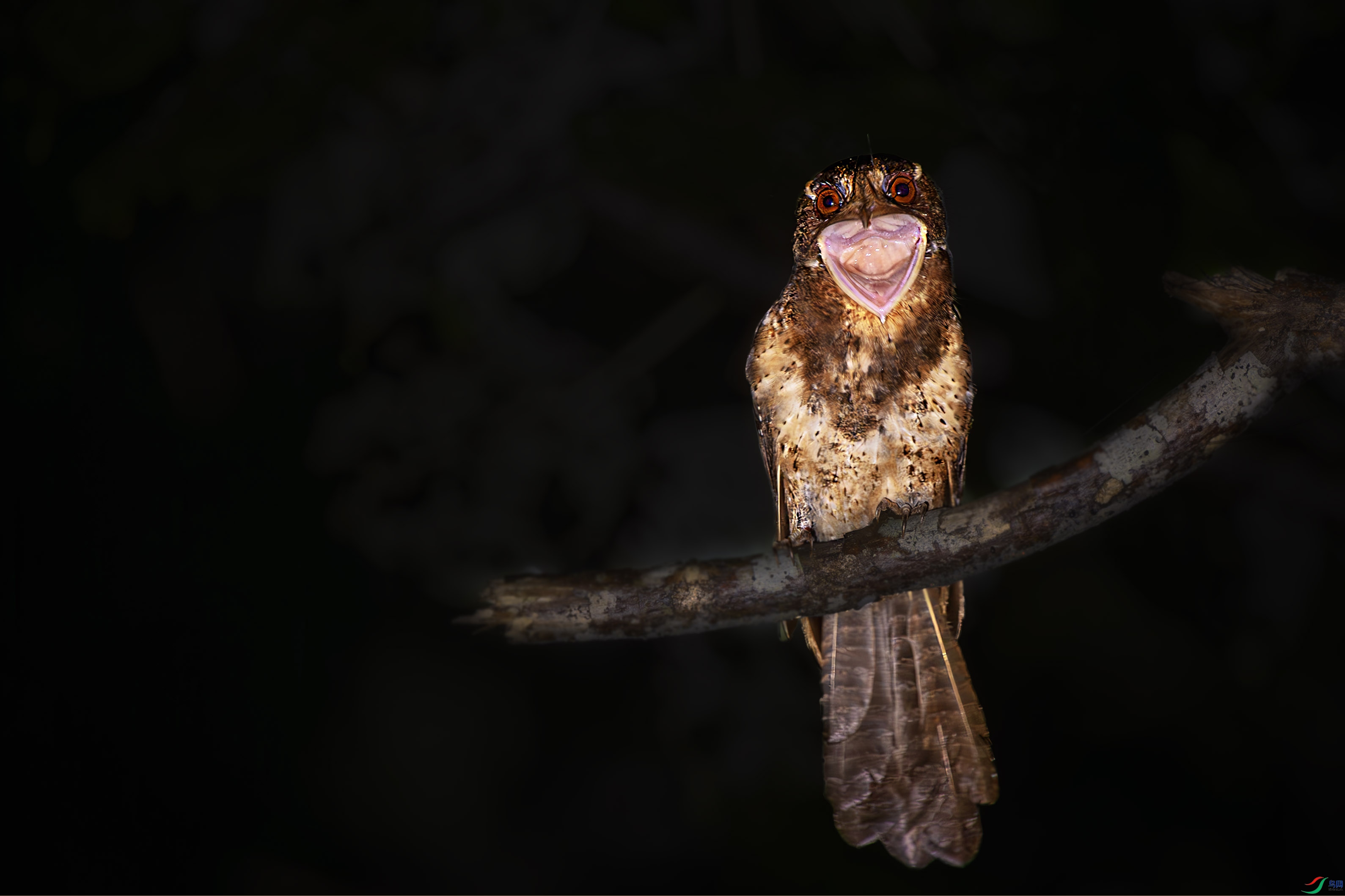 _DSC2840-����ǿ-NR3 ����.jpg