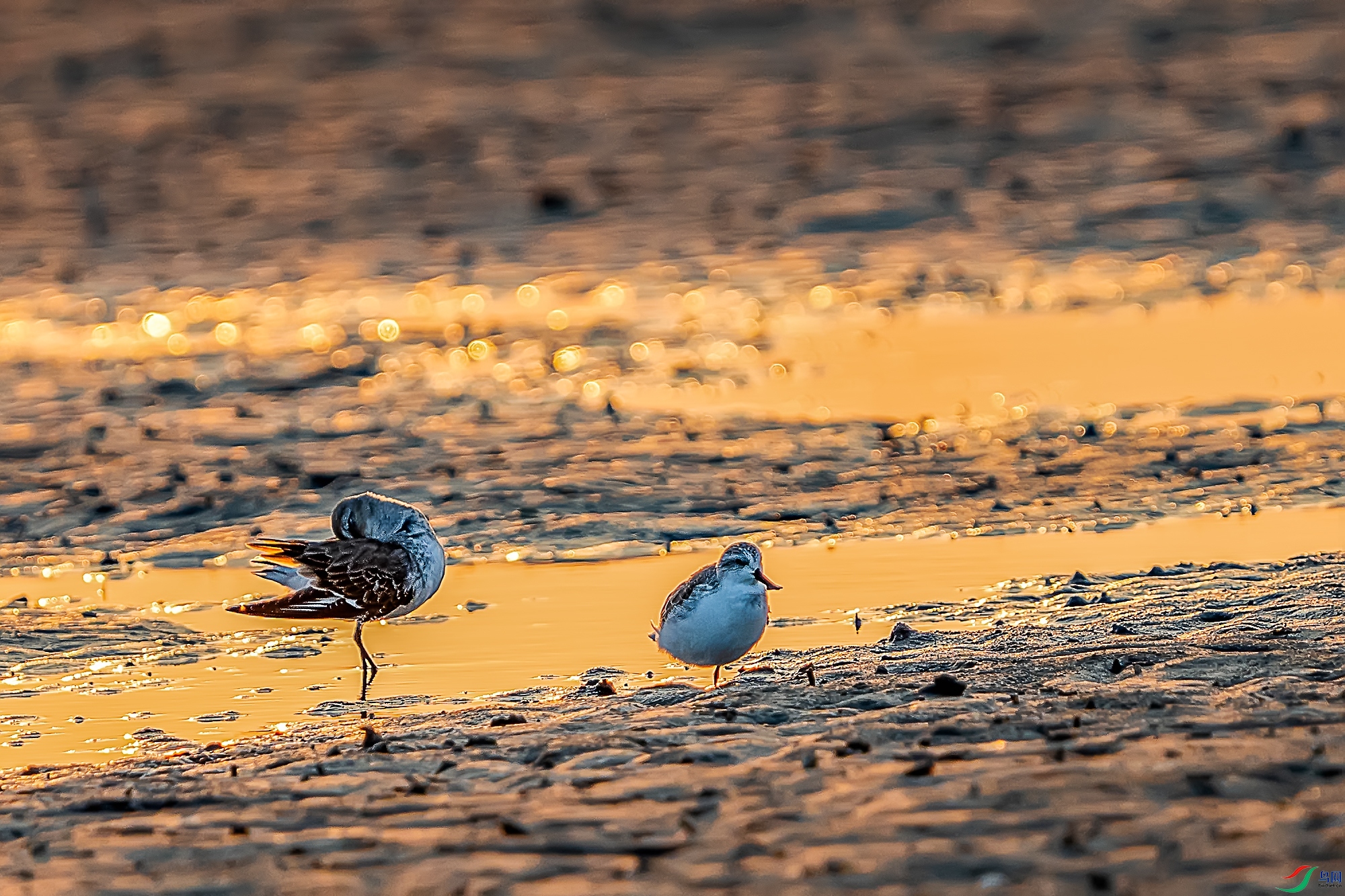 DSC06502 ����a ����.jpg