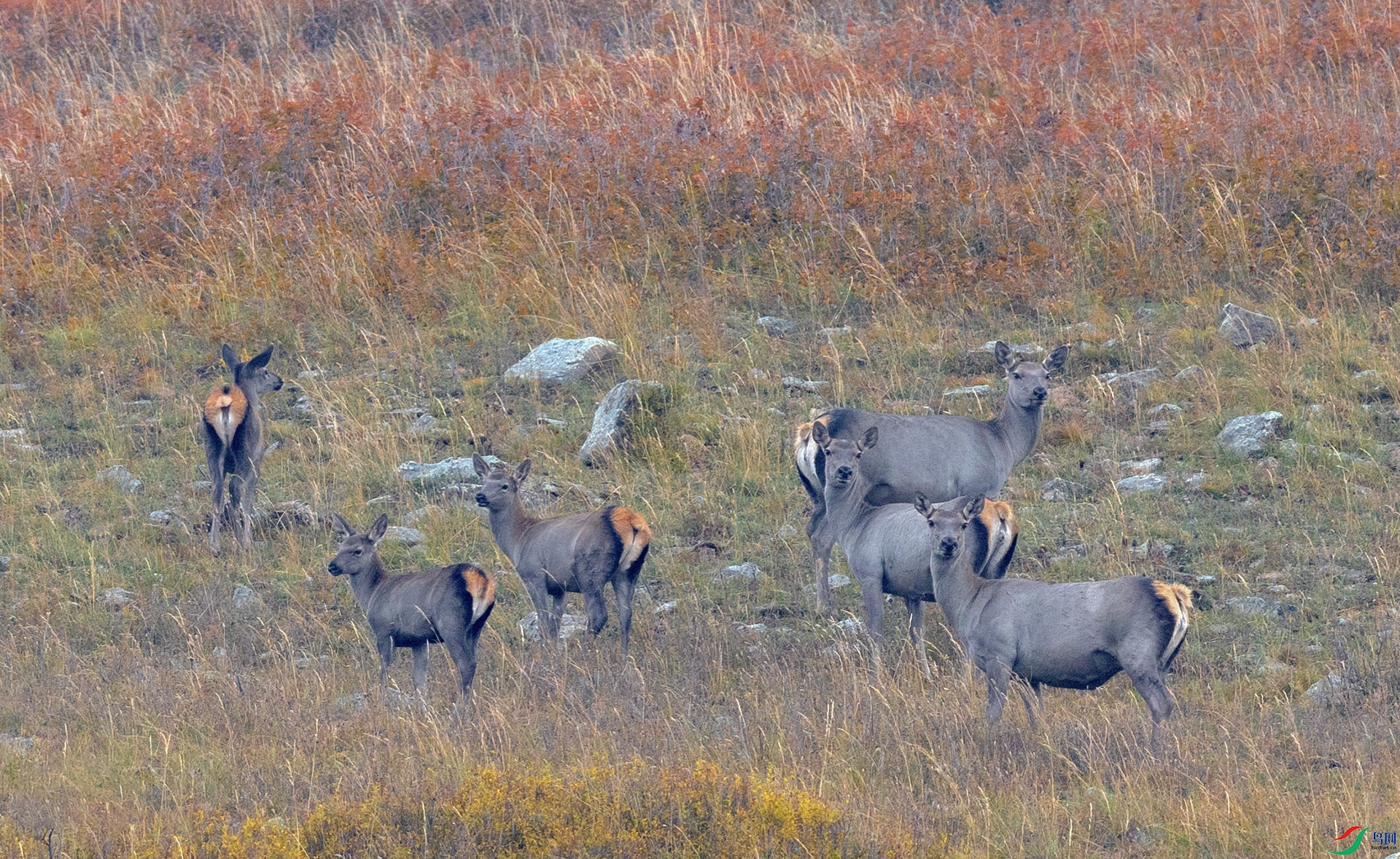 0E8A7265����  ��¹ȫ�Ҹ� 03.jpg