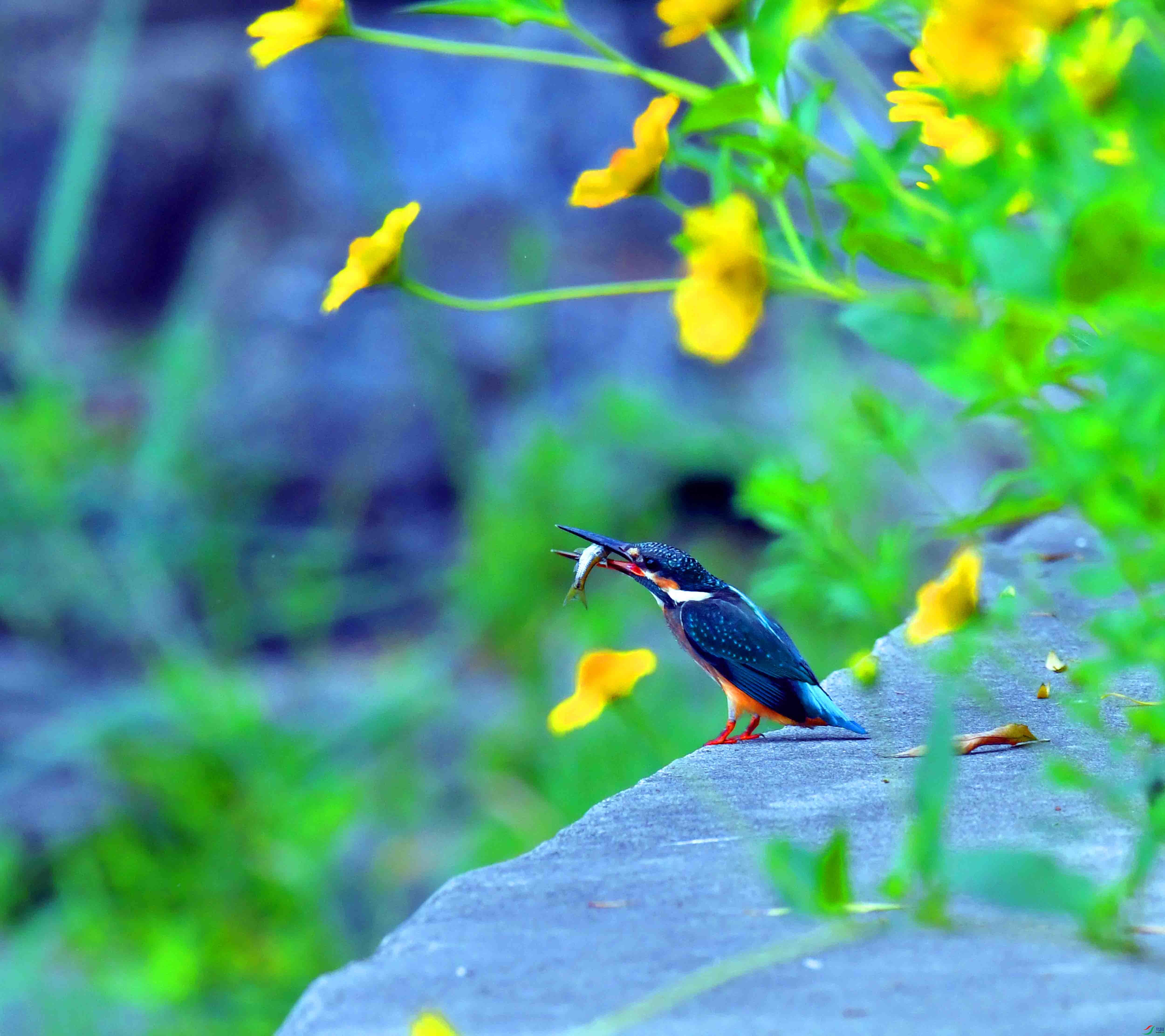 DSC_1573.JPG