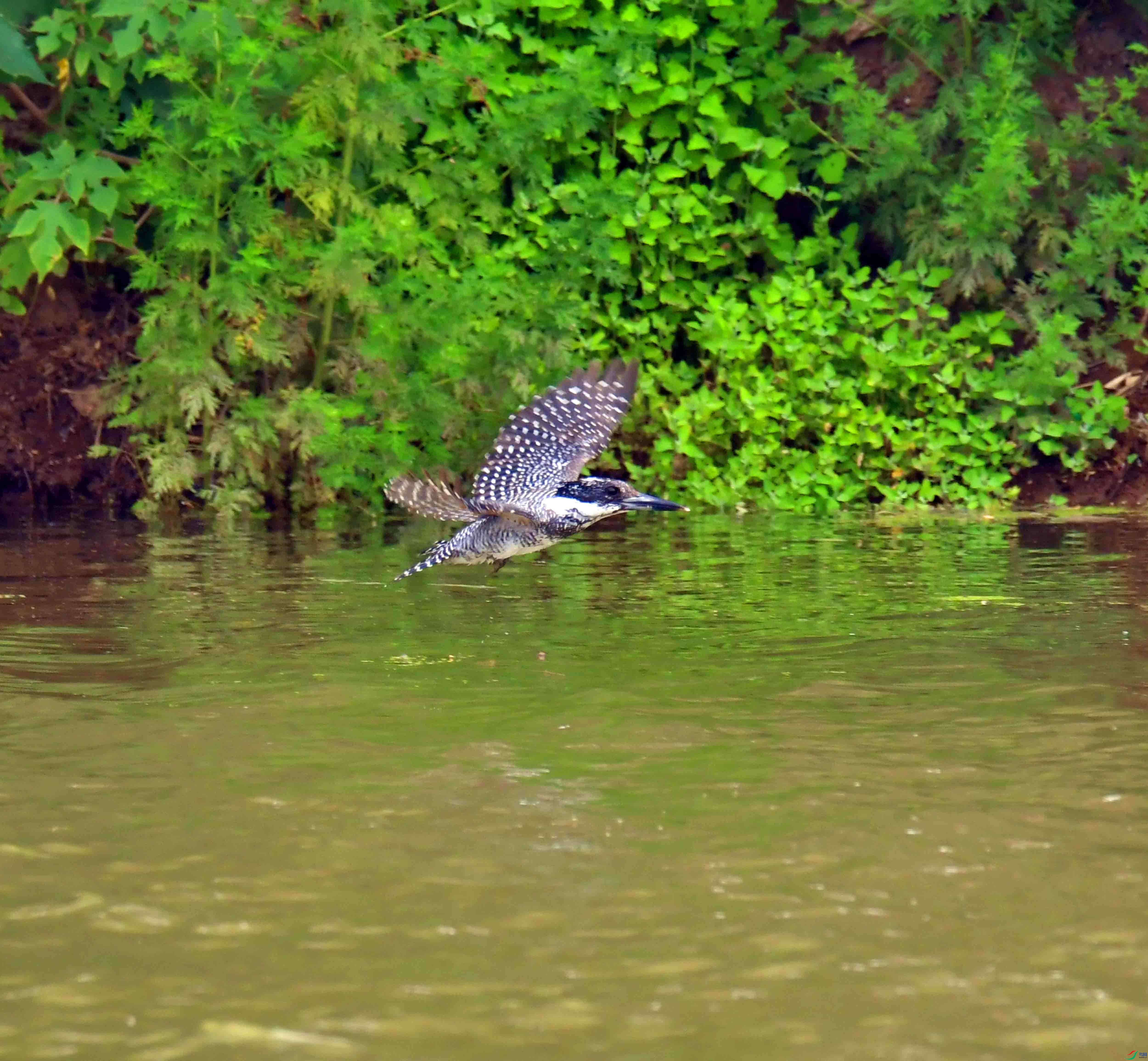 DSC_0344.JPG