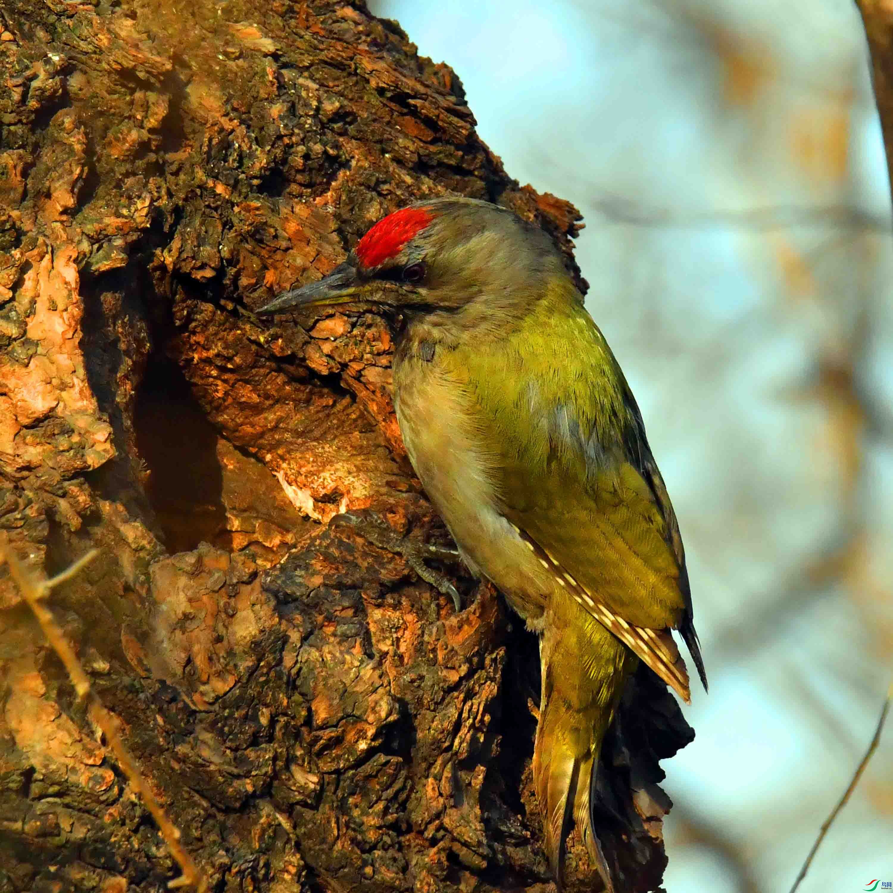 DSC_2343.JPG