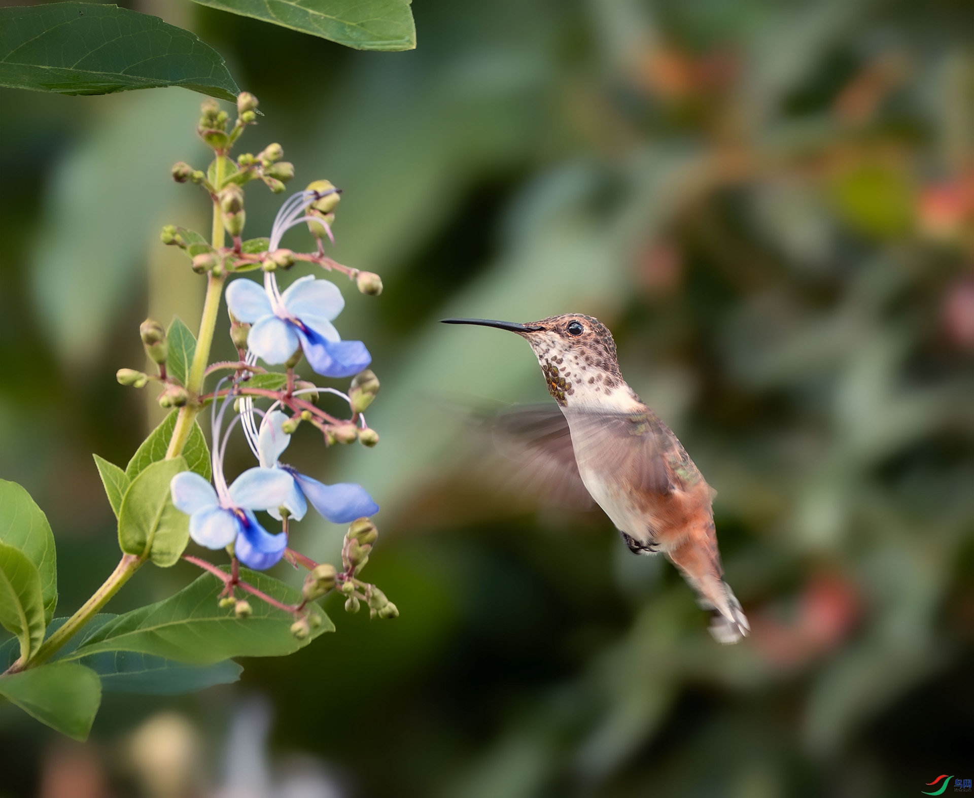 _DSC1538 ����.jpg