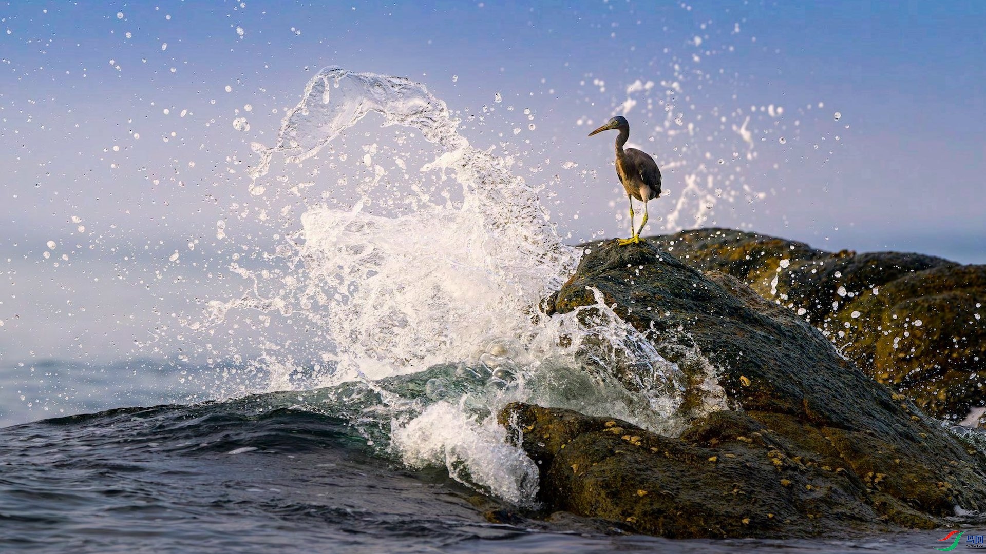 1-6_XXL9738-����ǿ-NR ����-1.jpeg