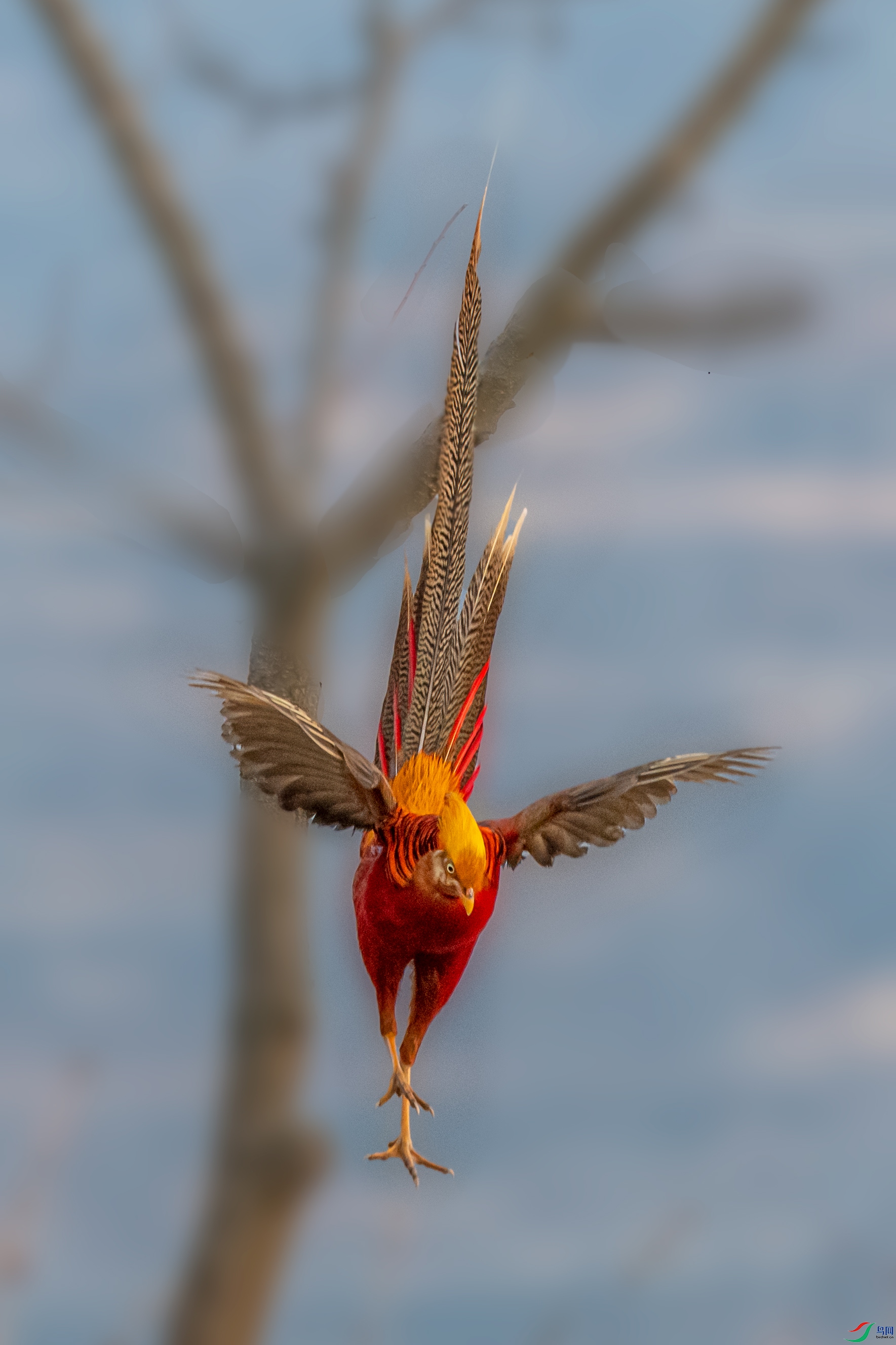 DSC_4383-21.jpg
