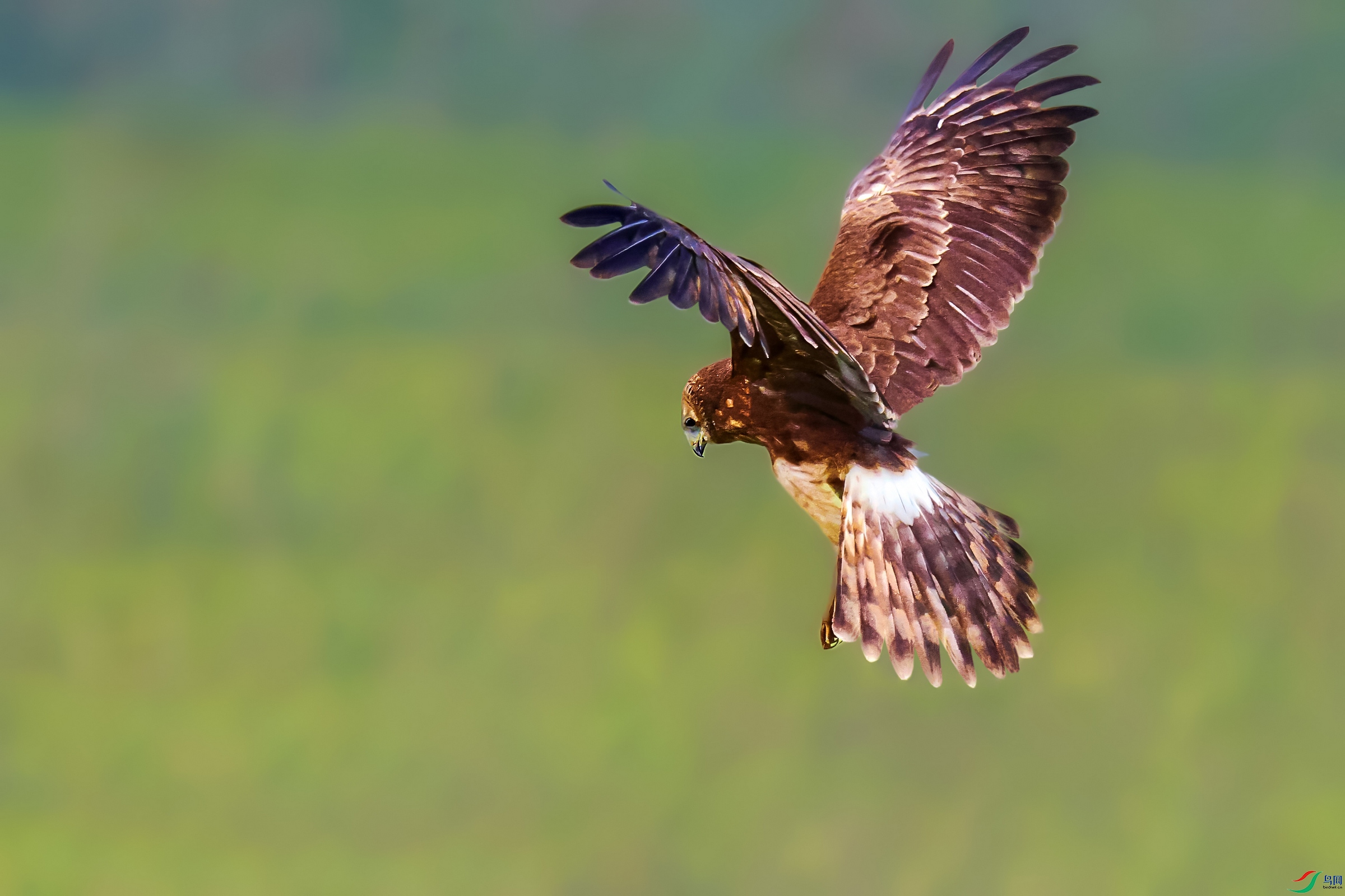 1L7A3891-topaz-denoise.jpg