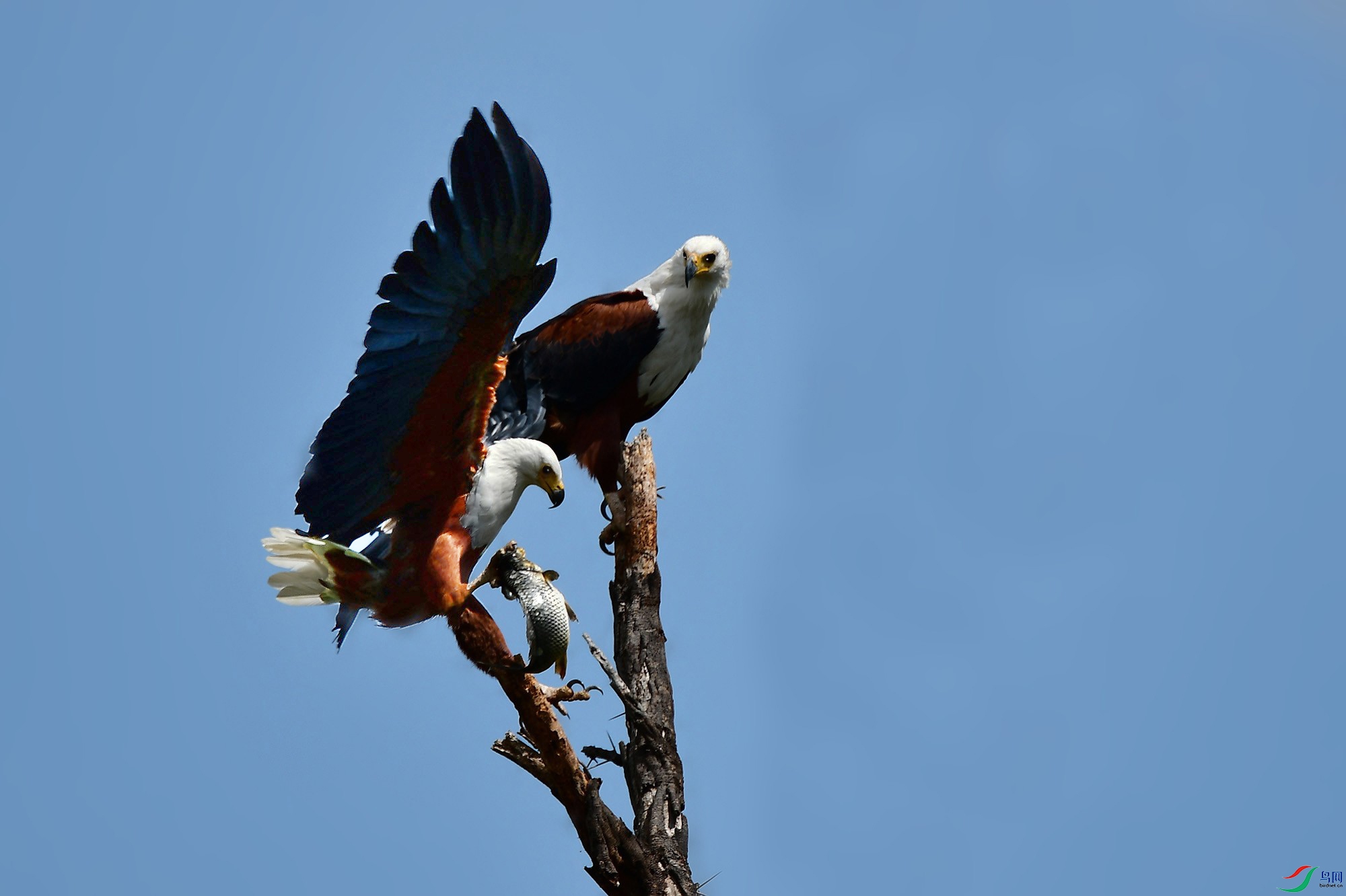 DSC_0837_.jpg