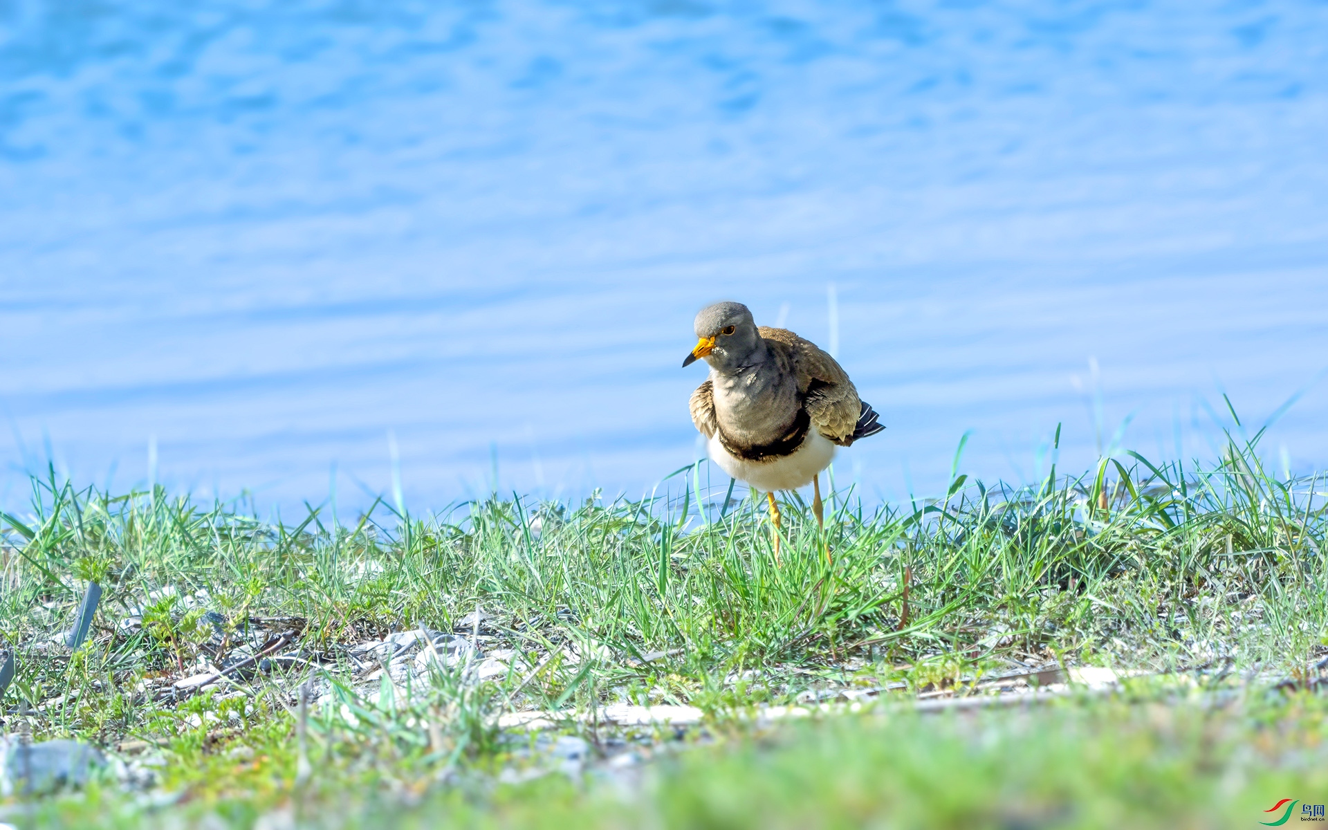 DSC07245 ����.jpg