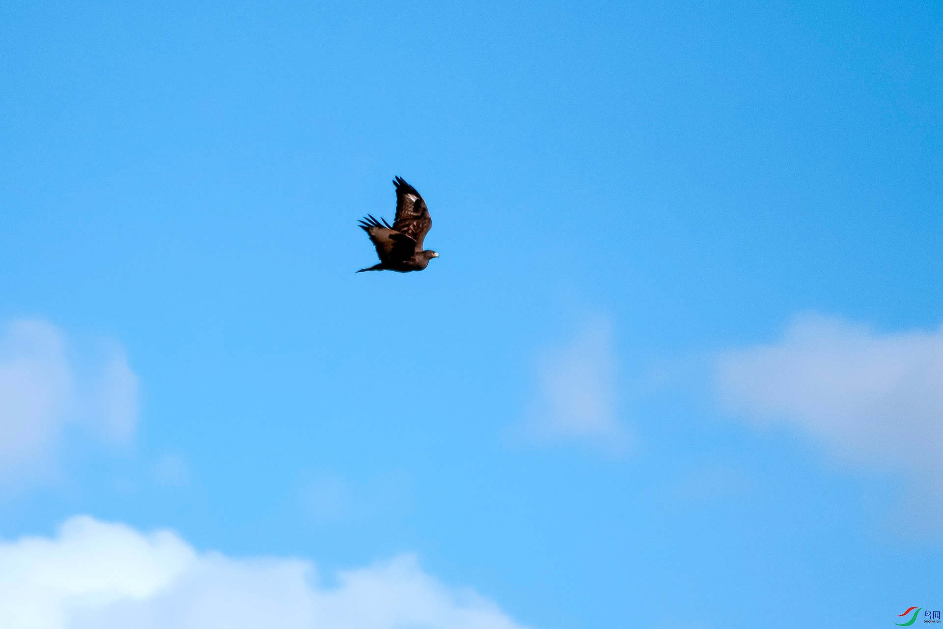 DSC_1198.jpg