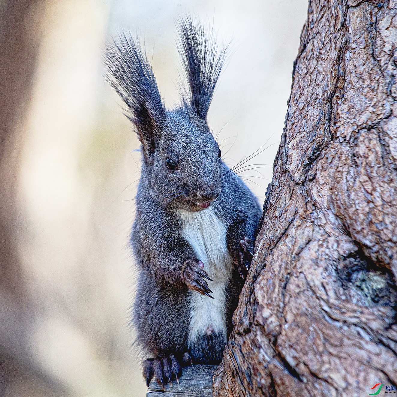 _MG_3829 ����.jpg