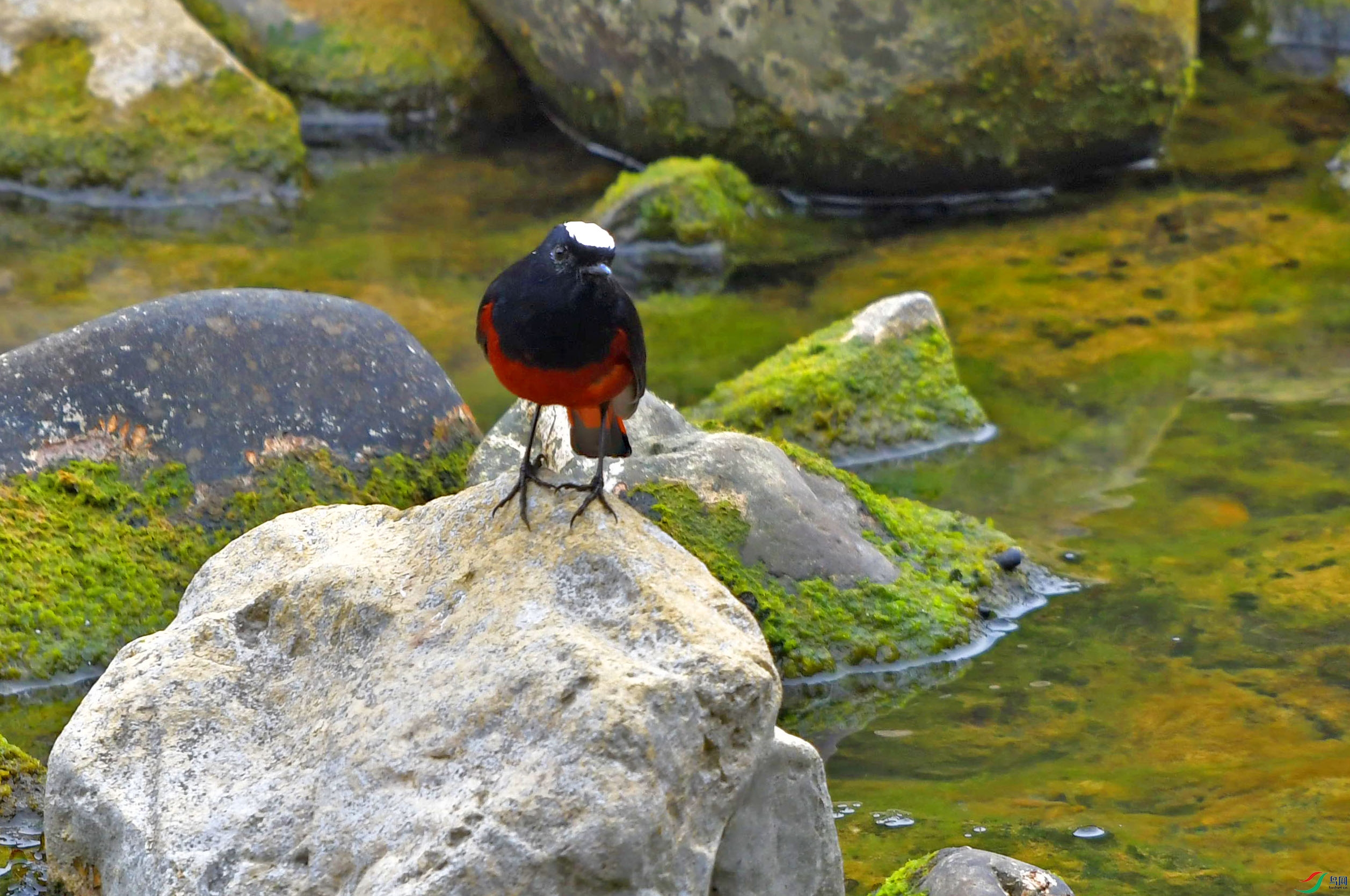 DSC_1094.JPG