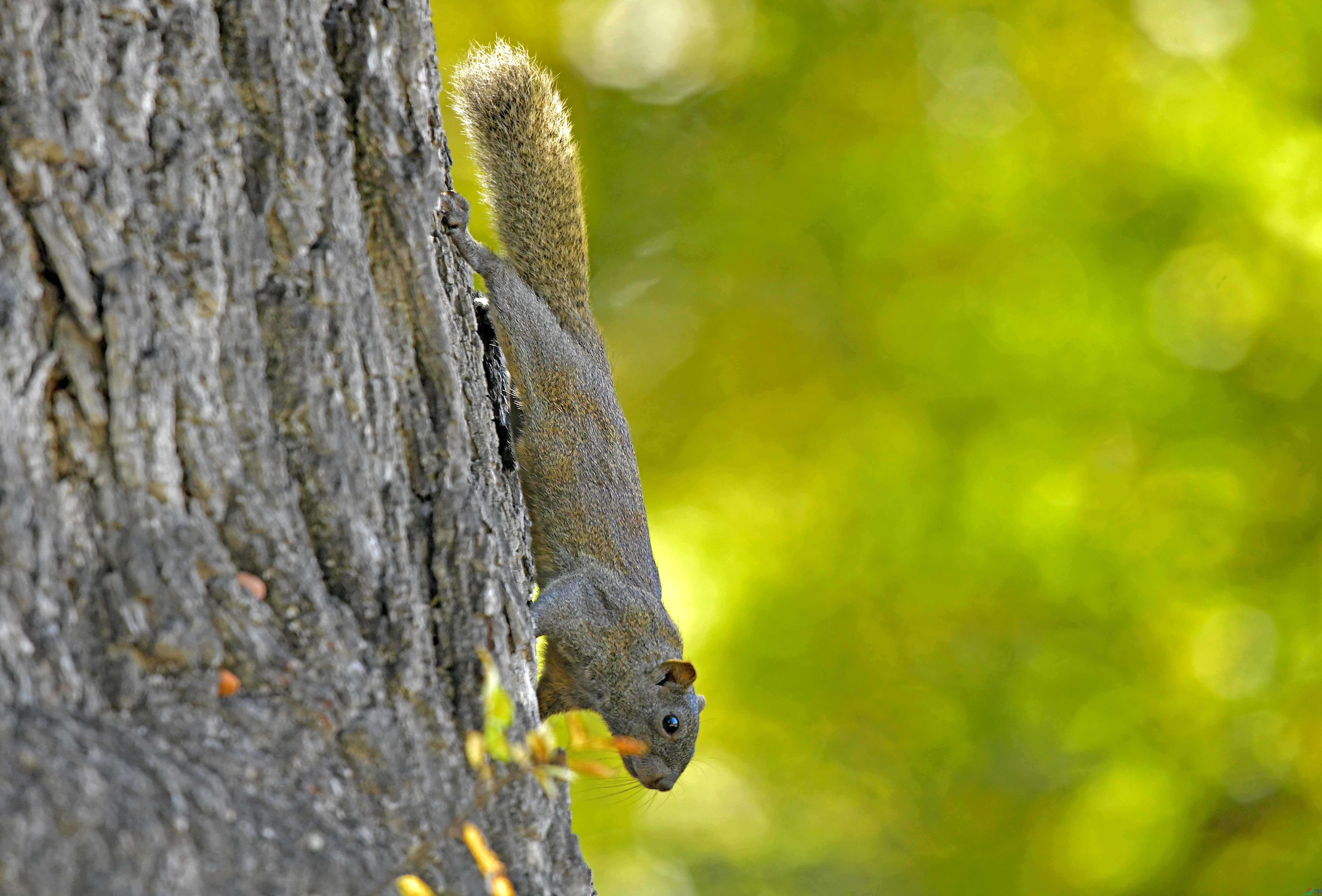 DSC_1224.JPG