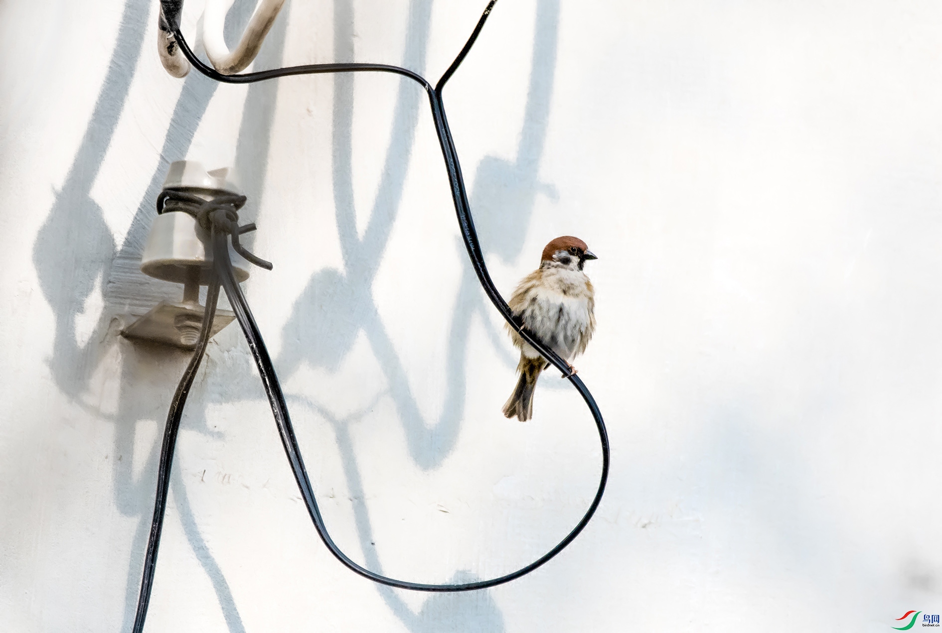 DSC_3626_��ͼ�� ����.jpg