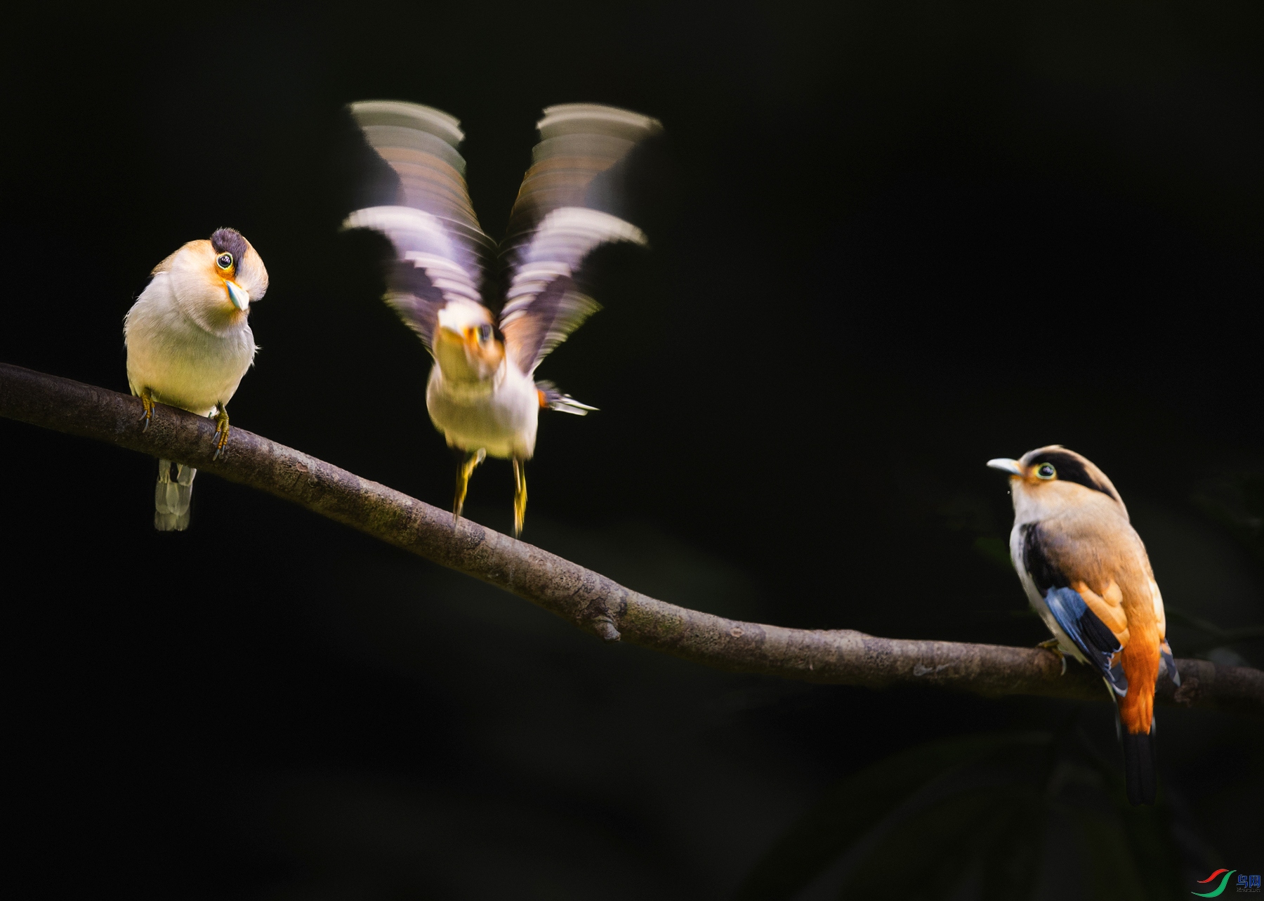 ����˿����----��Ŀ֮������չ