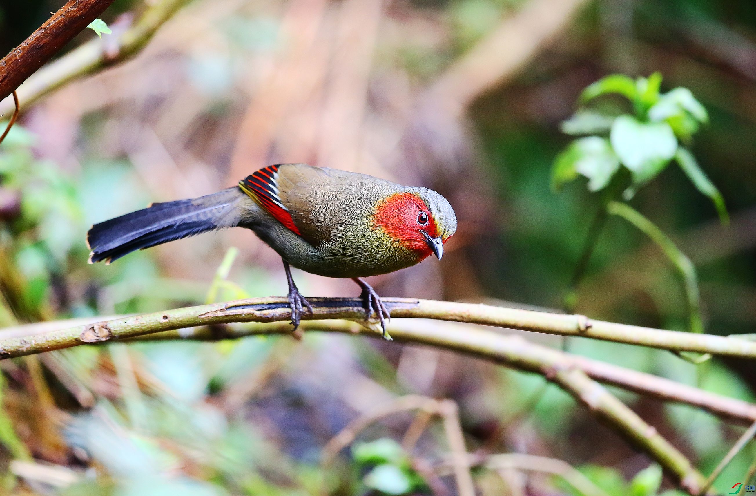 ���޴�� (21).JPG