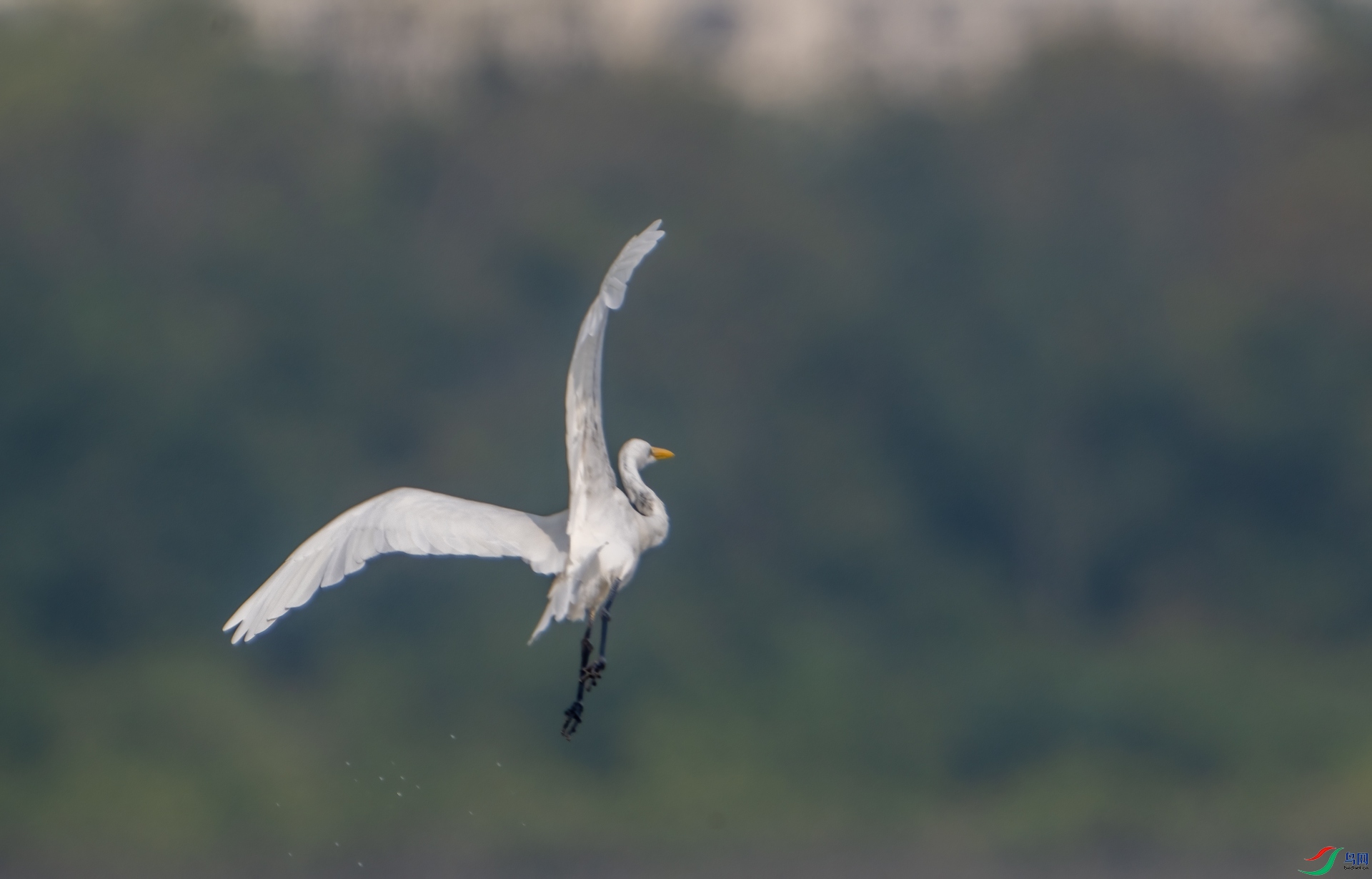 DSC_0428.jpg