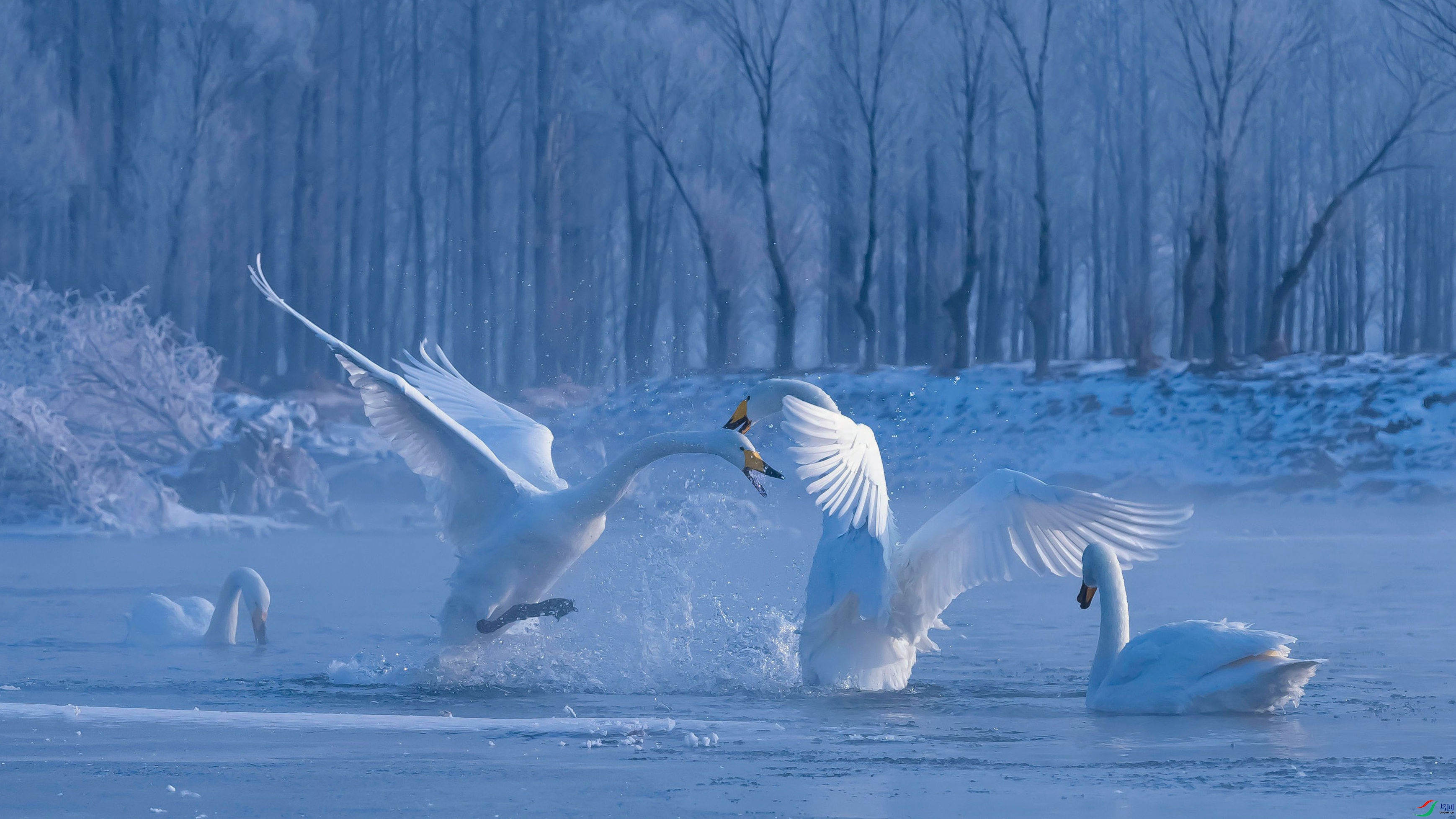 ���� �Ա��� 2025.1.28 �ϰ˼��� �����������壬��֪�ιʣ����˷��� 13704215226_����.jpg