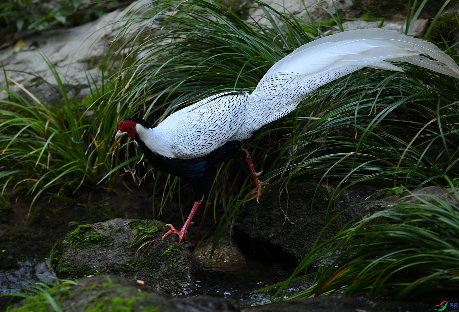 DSC_9476.jpg