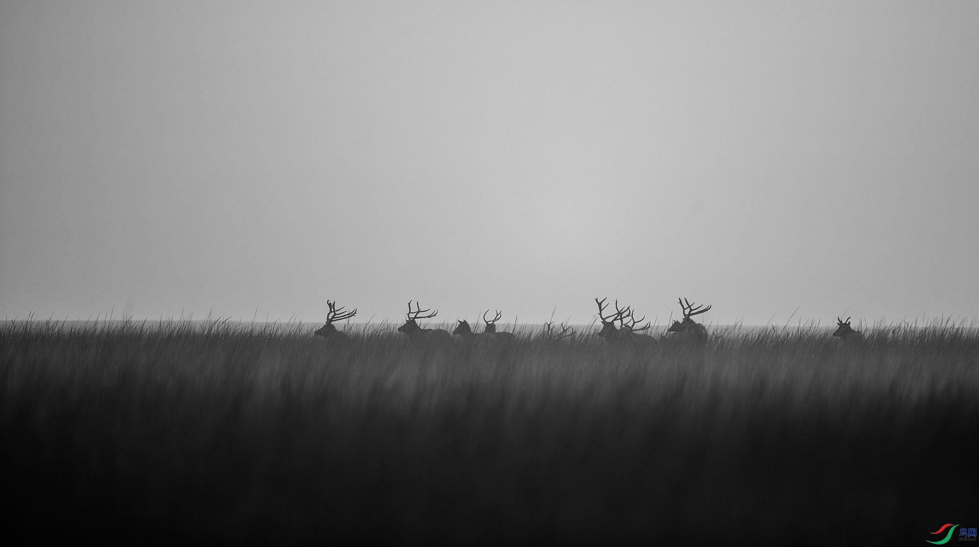_QH_0127-1920.jpg