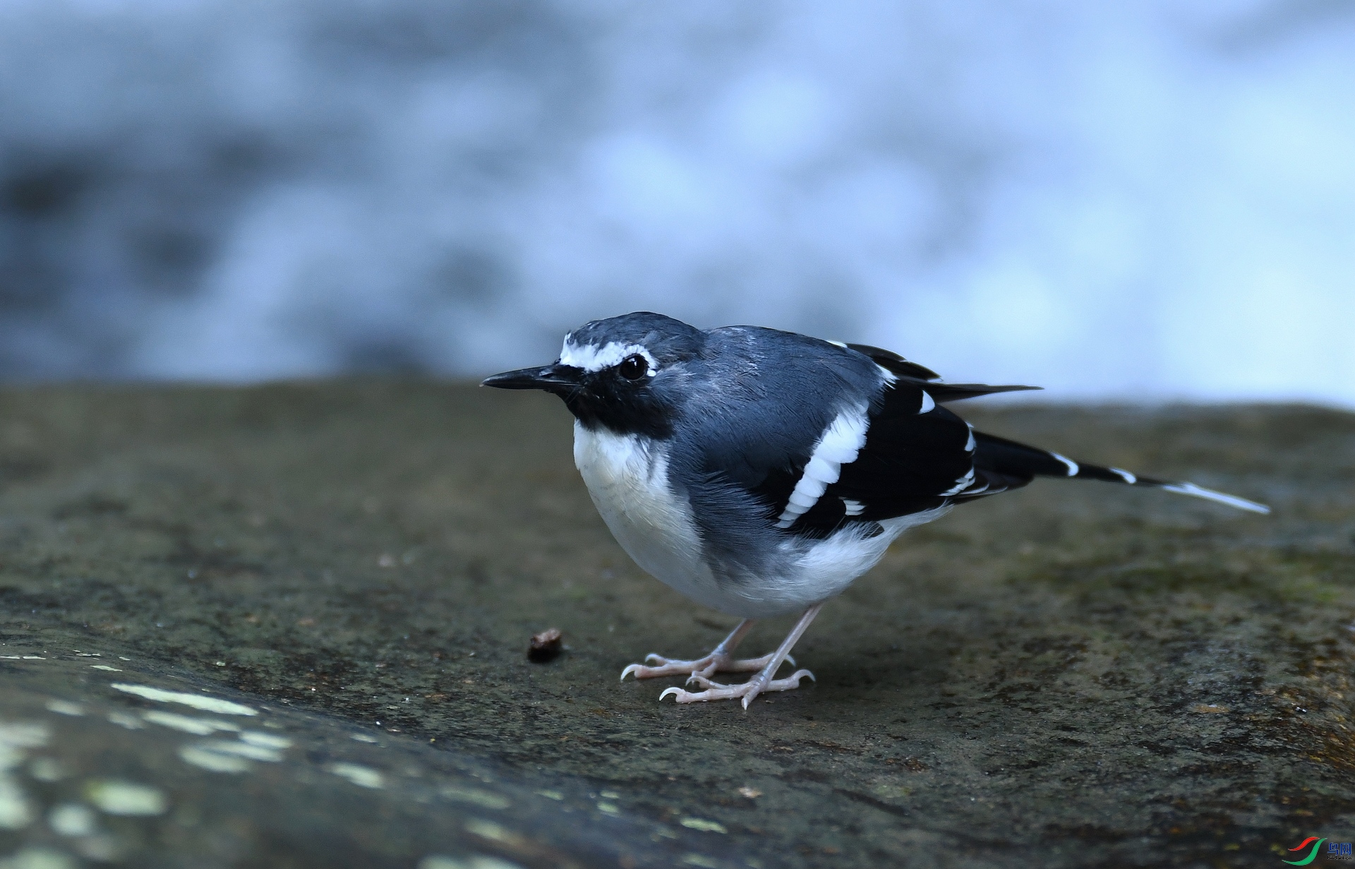 DSC_9649.jpg