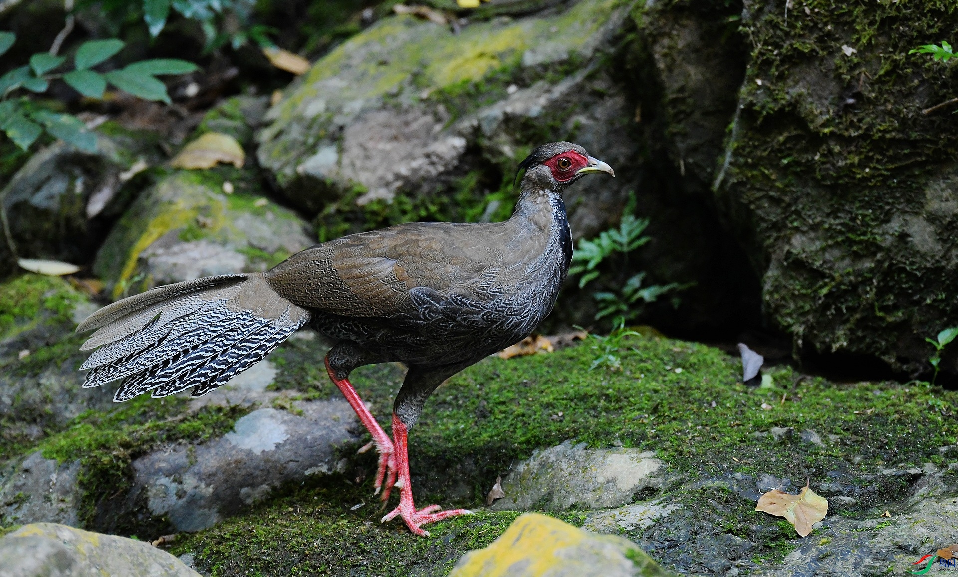 DSC_9844.jpg