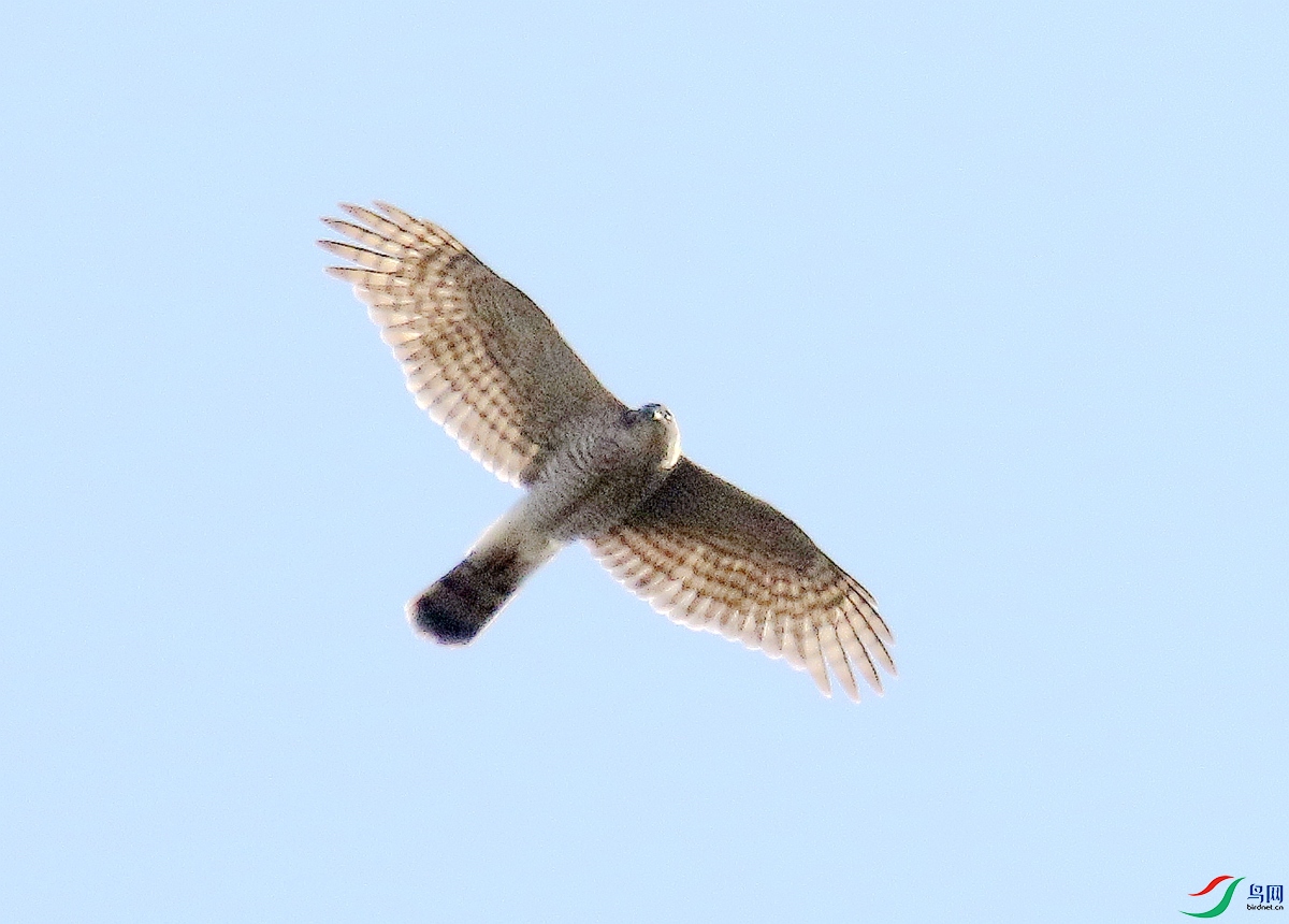 A4509ȸӥ-25.JPG