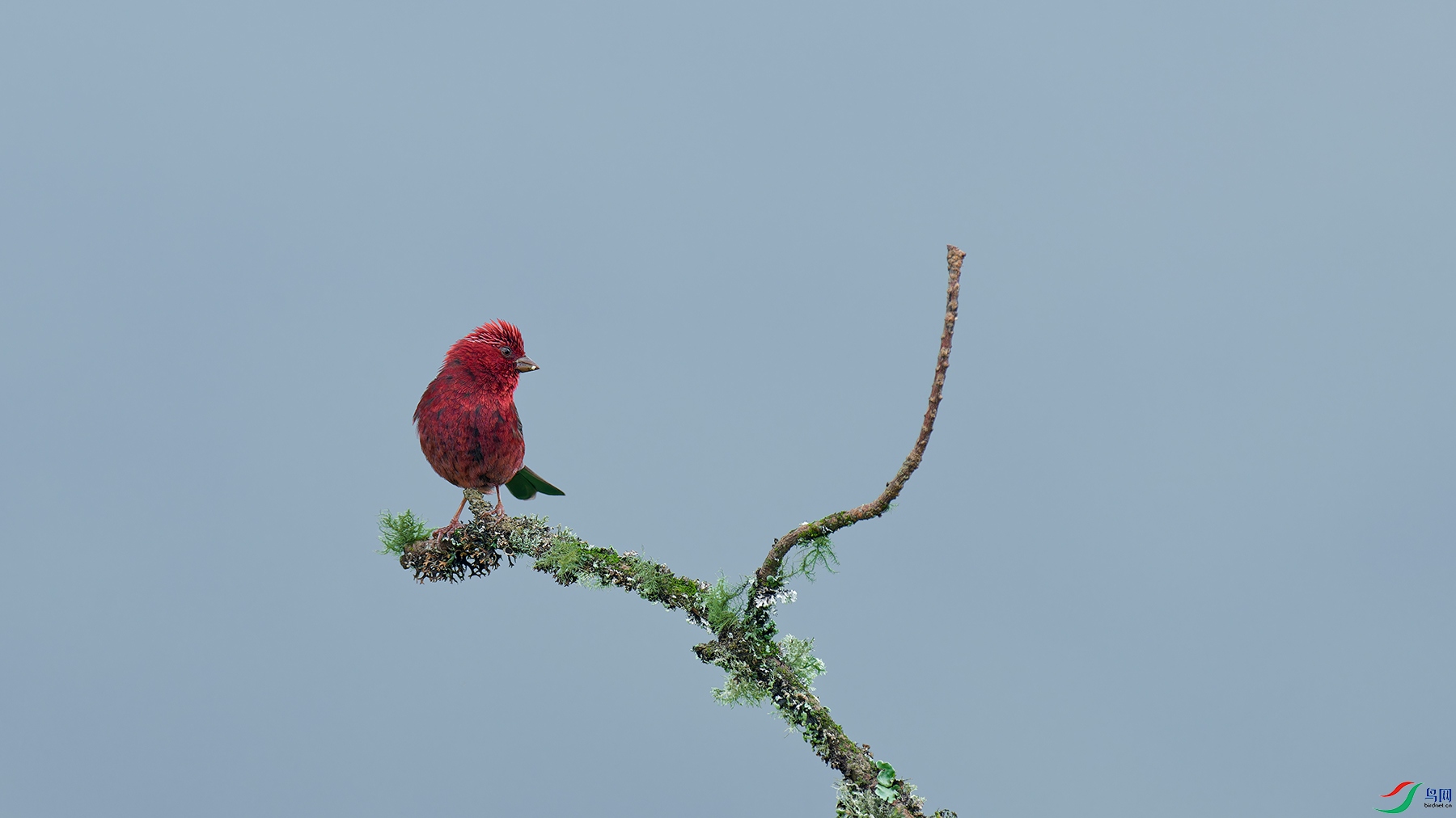 DSC_6794.jpg
