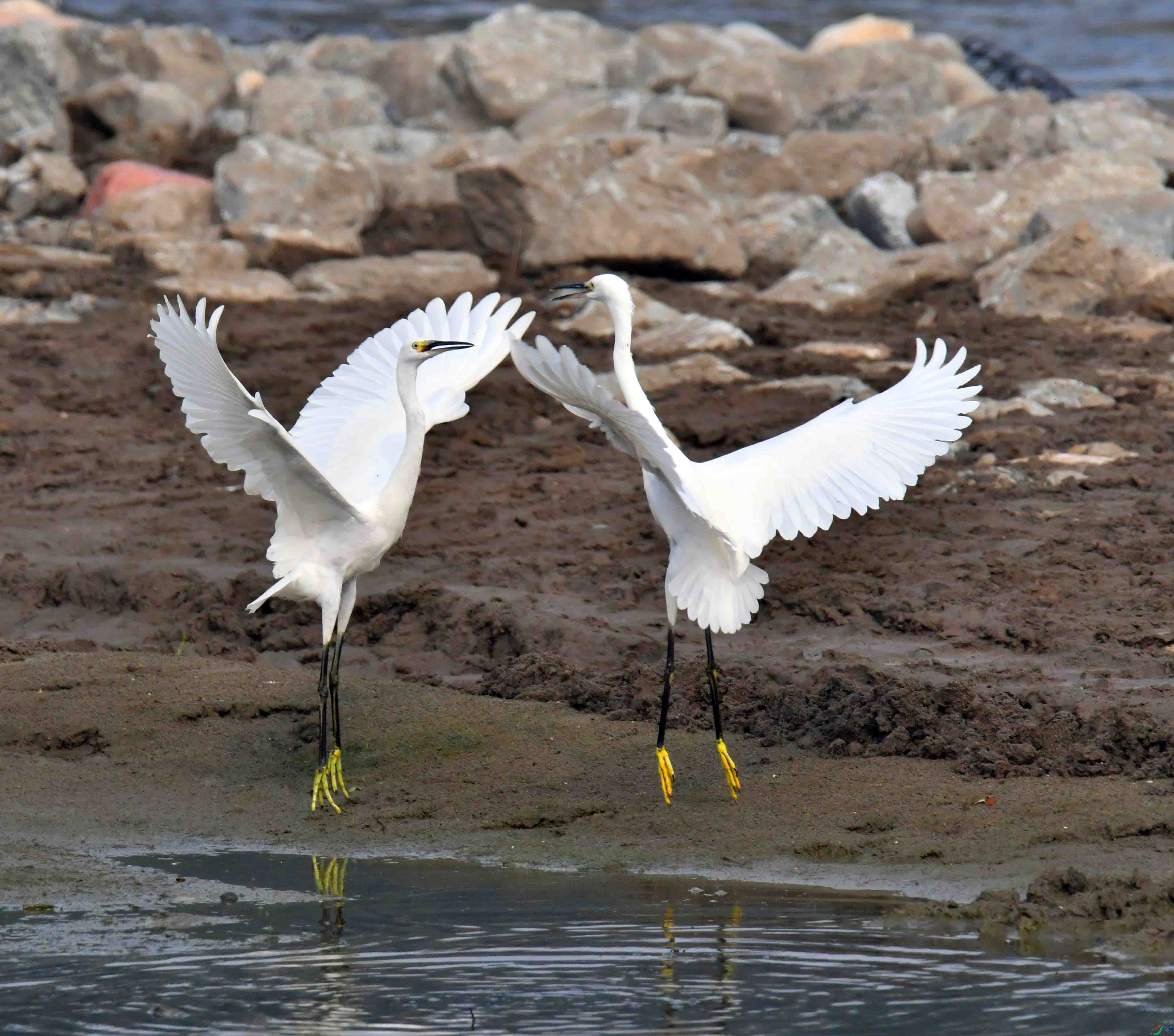 DSC_0471.JPG