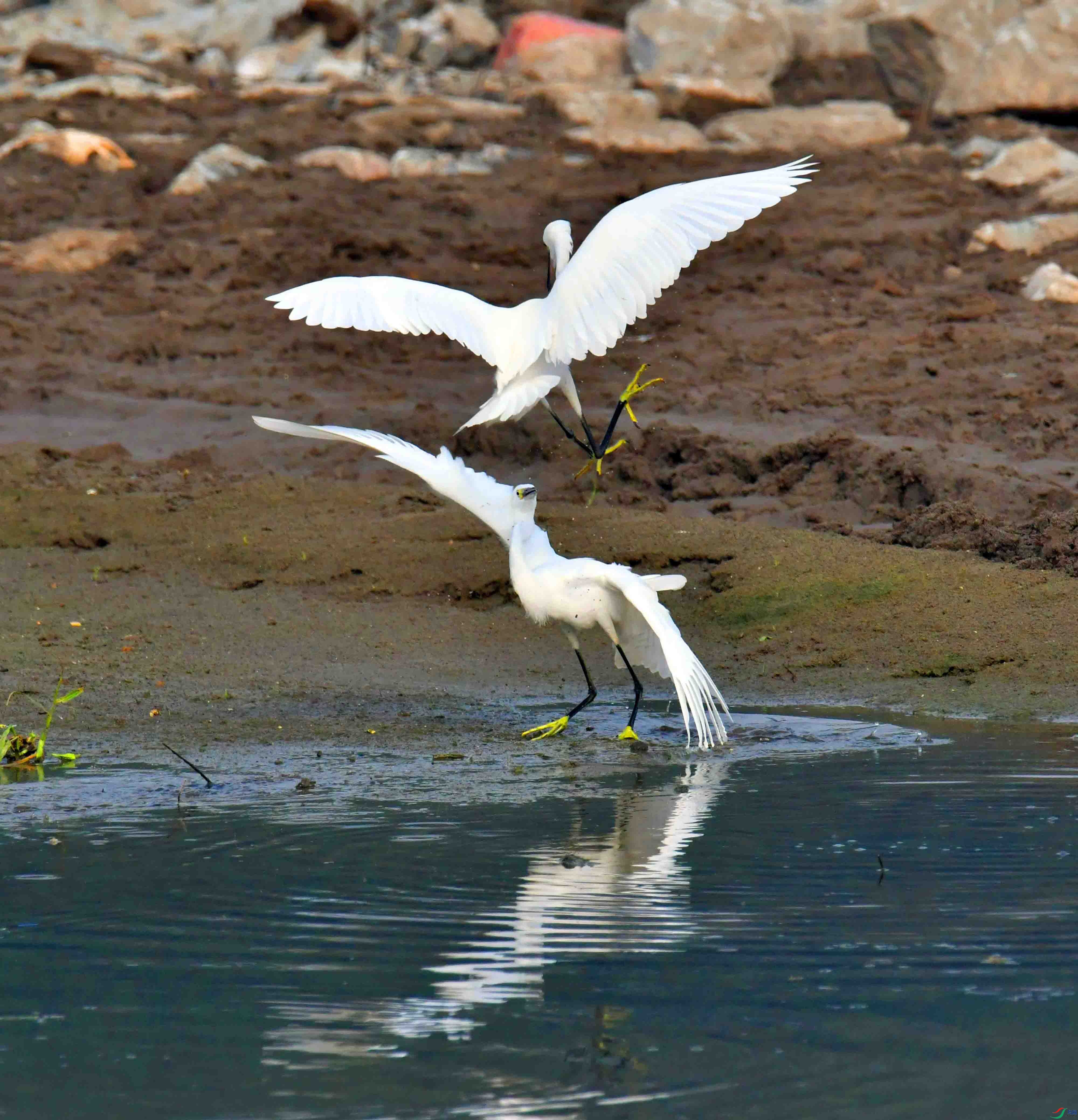 DSC_0475.JPG