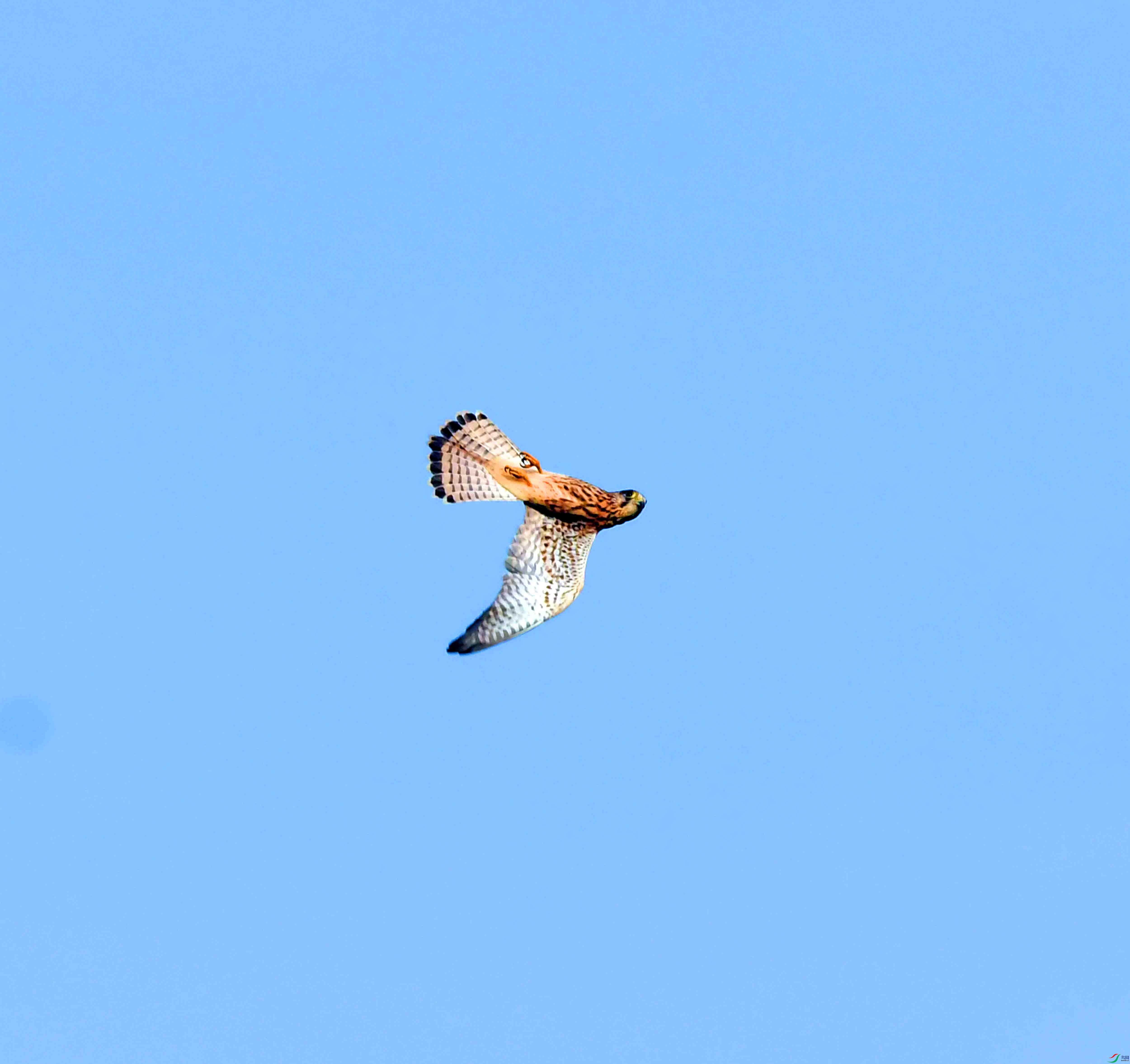 DSC_0563.JPG
