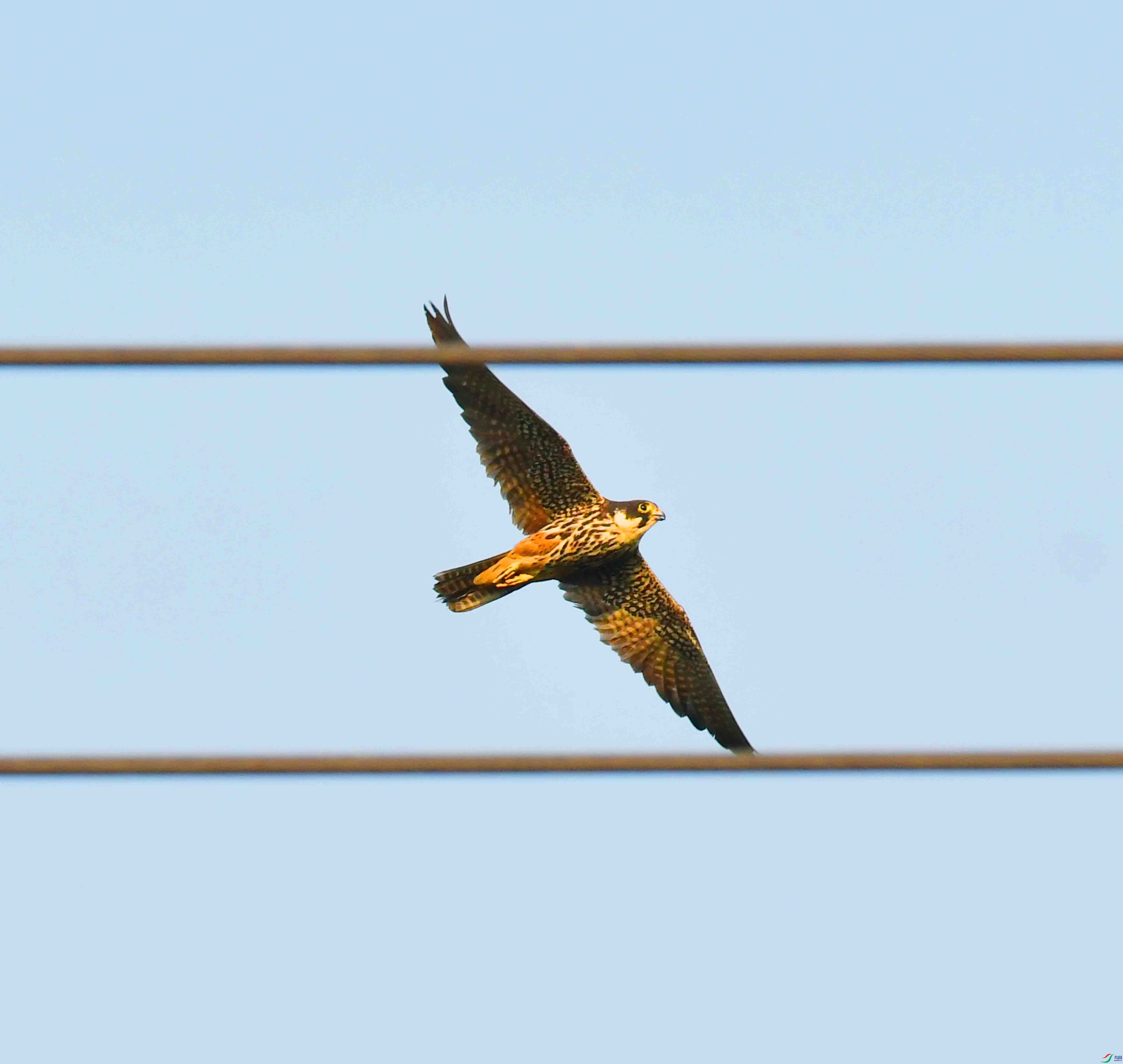 DSC_0572.JPG