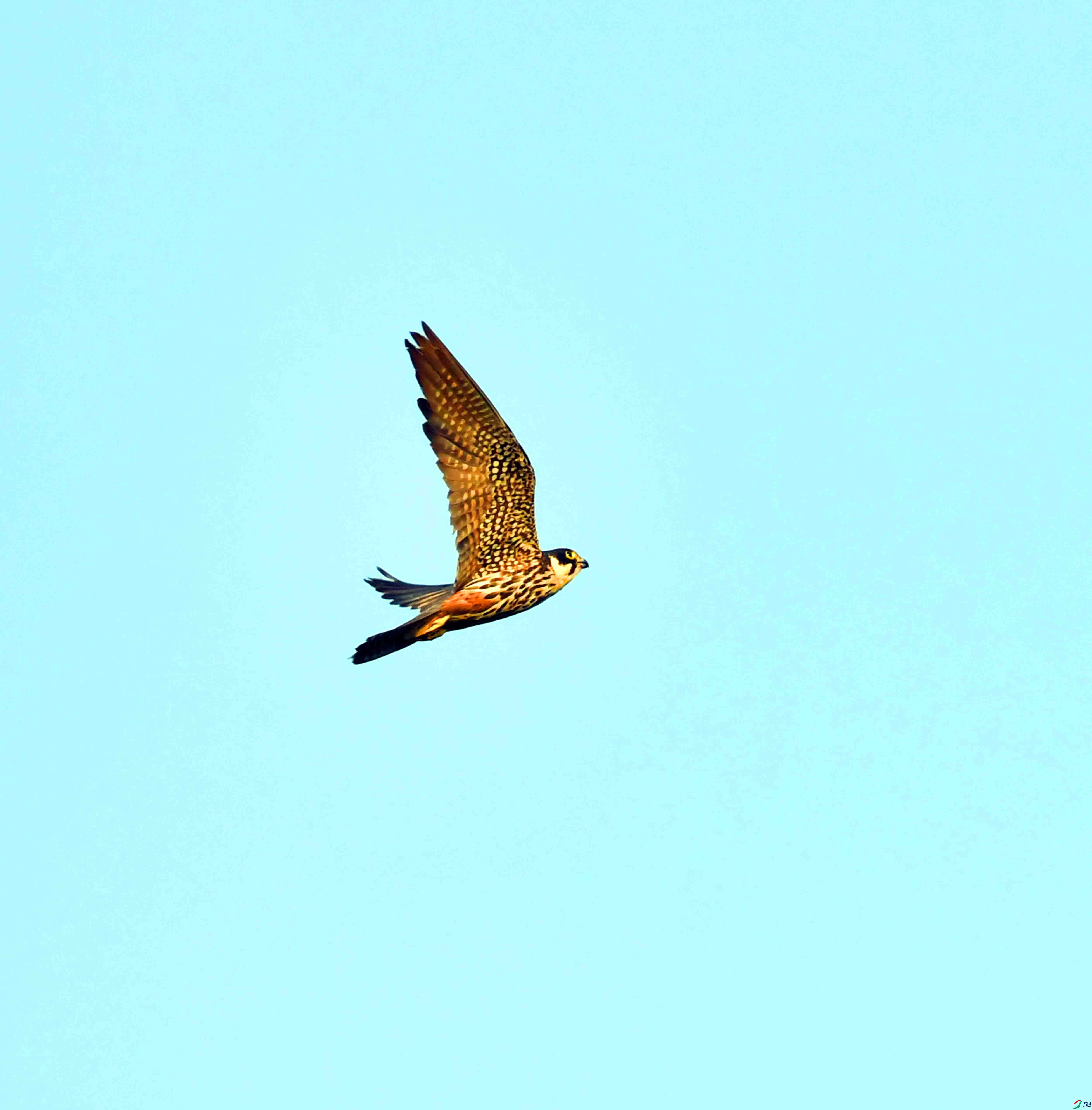 DSC_0575.JPG