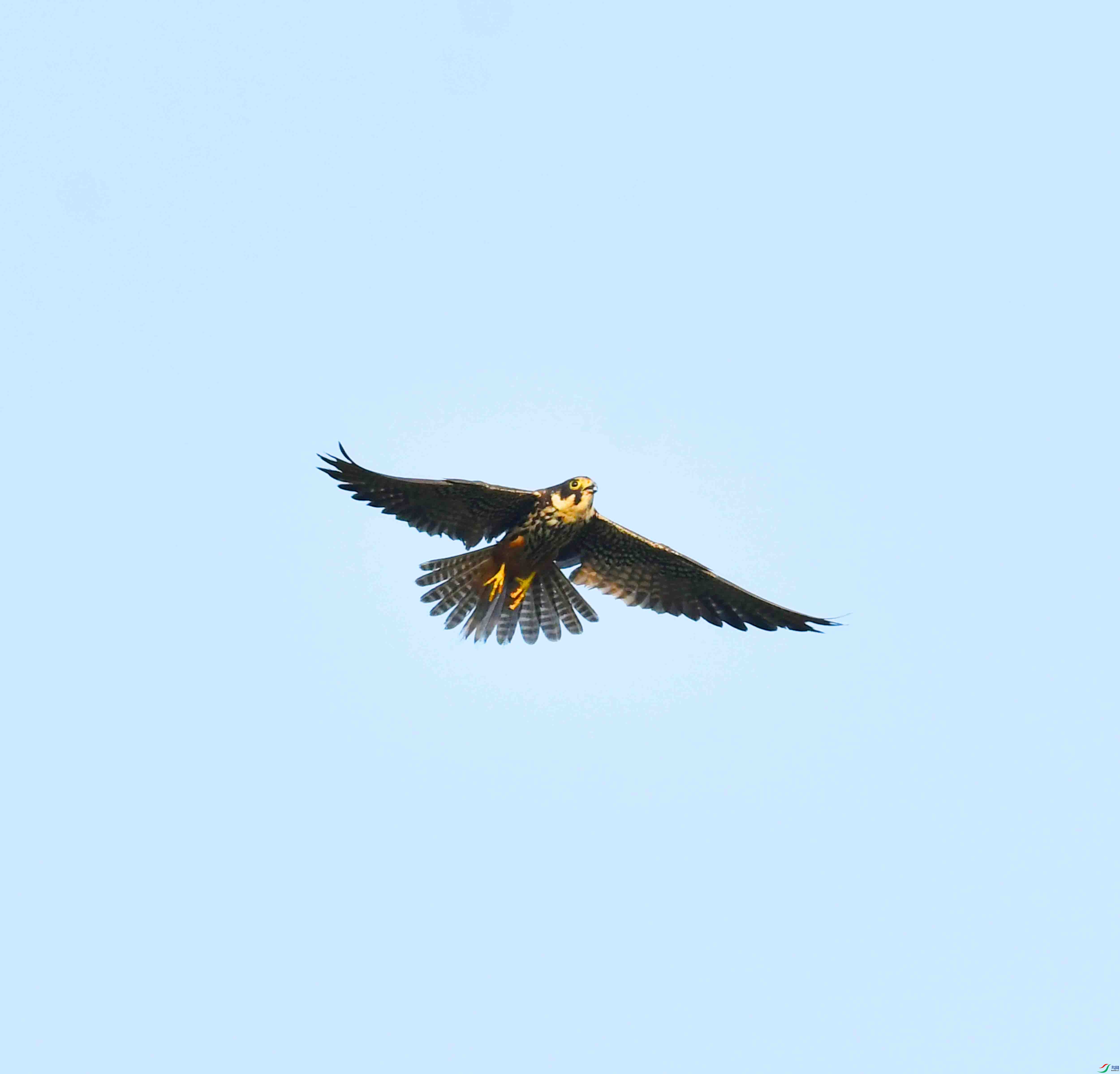 DSC_0630.JPG