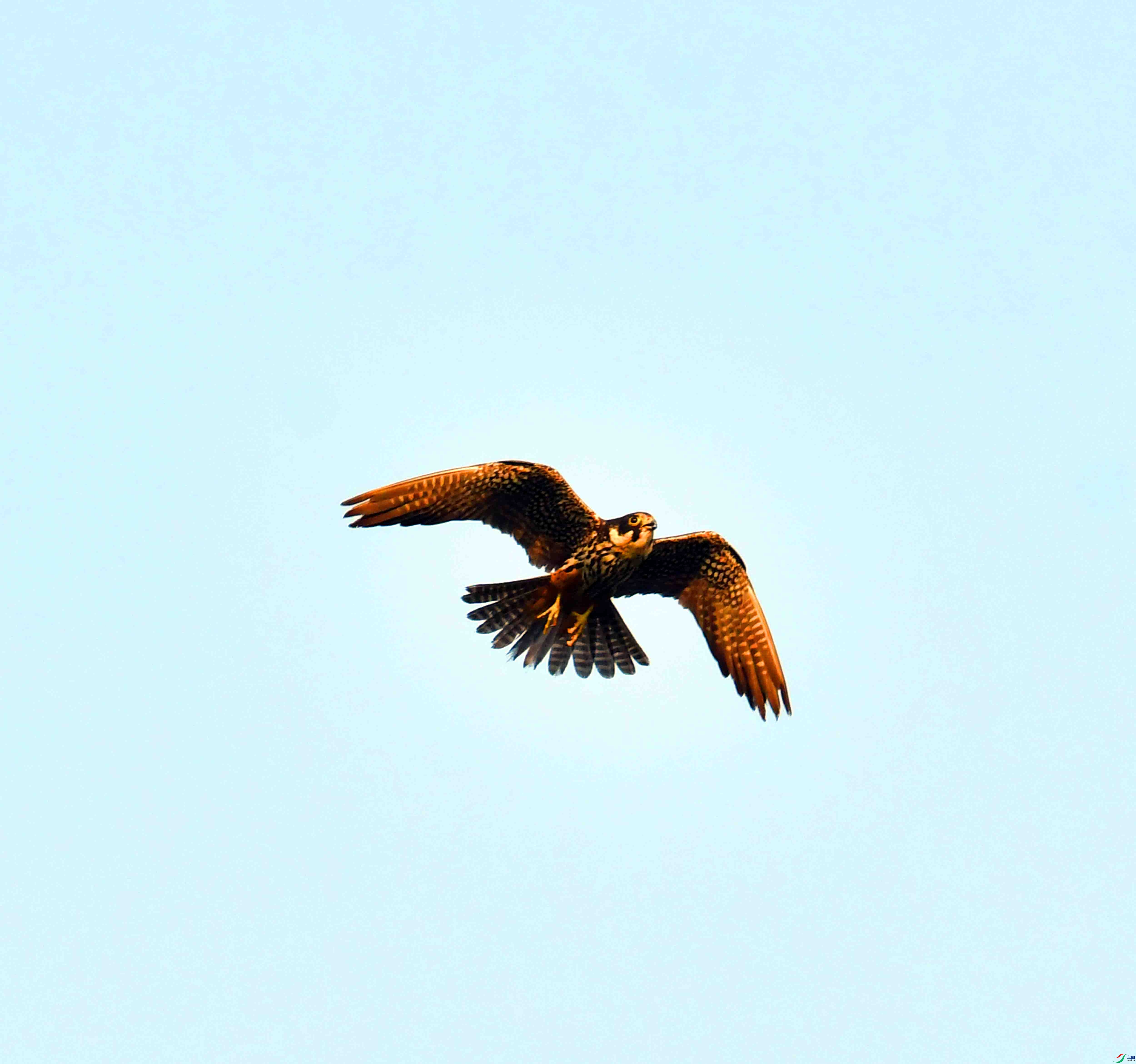 DSC_0628.JPG