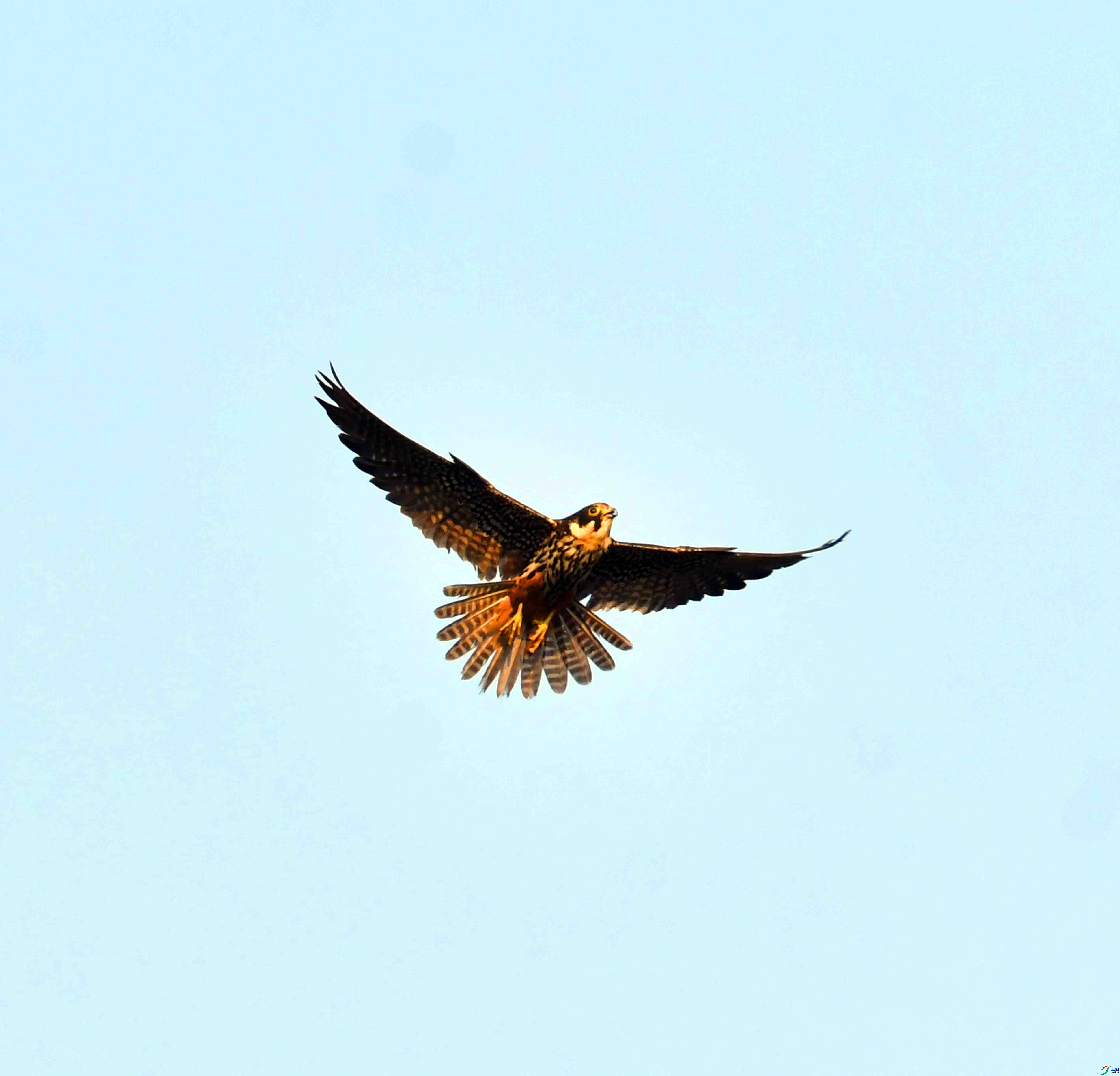 DSC_0631.JPG